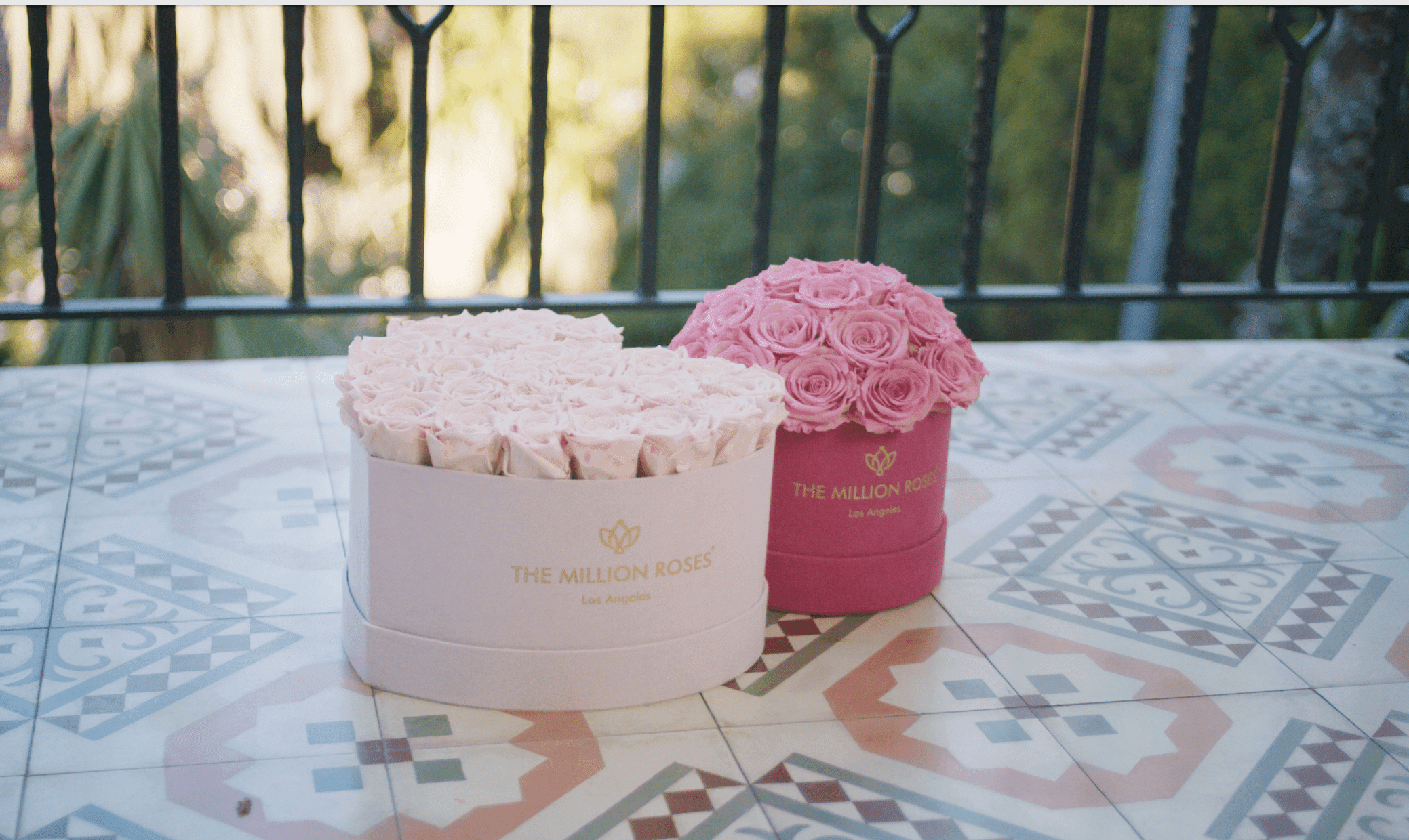 September Flowers - White Heart Rose Box & Pink Rounded Rose Box - The Million Roses® 