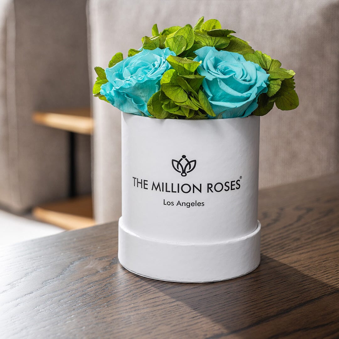 Basic White Garden Box | Turquoise Roses