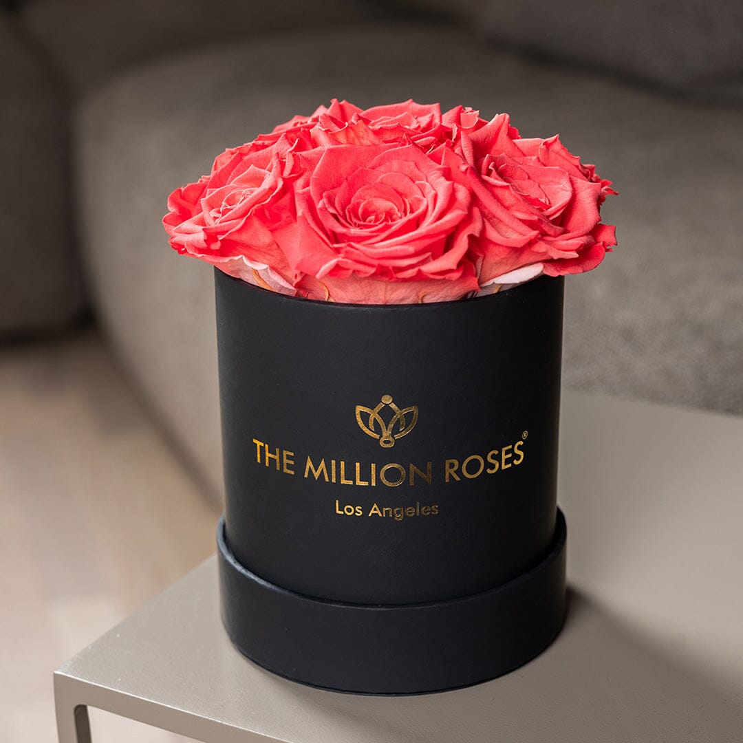 Basic Caja Negra | Rosas Coral