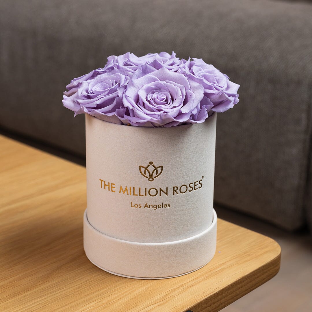 Basic Beige Suede Box | Lavender Roses