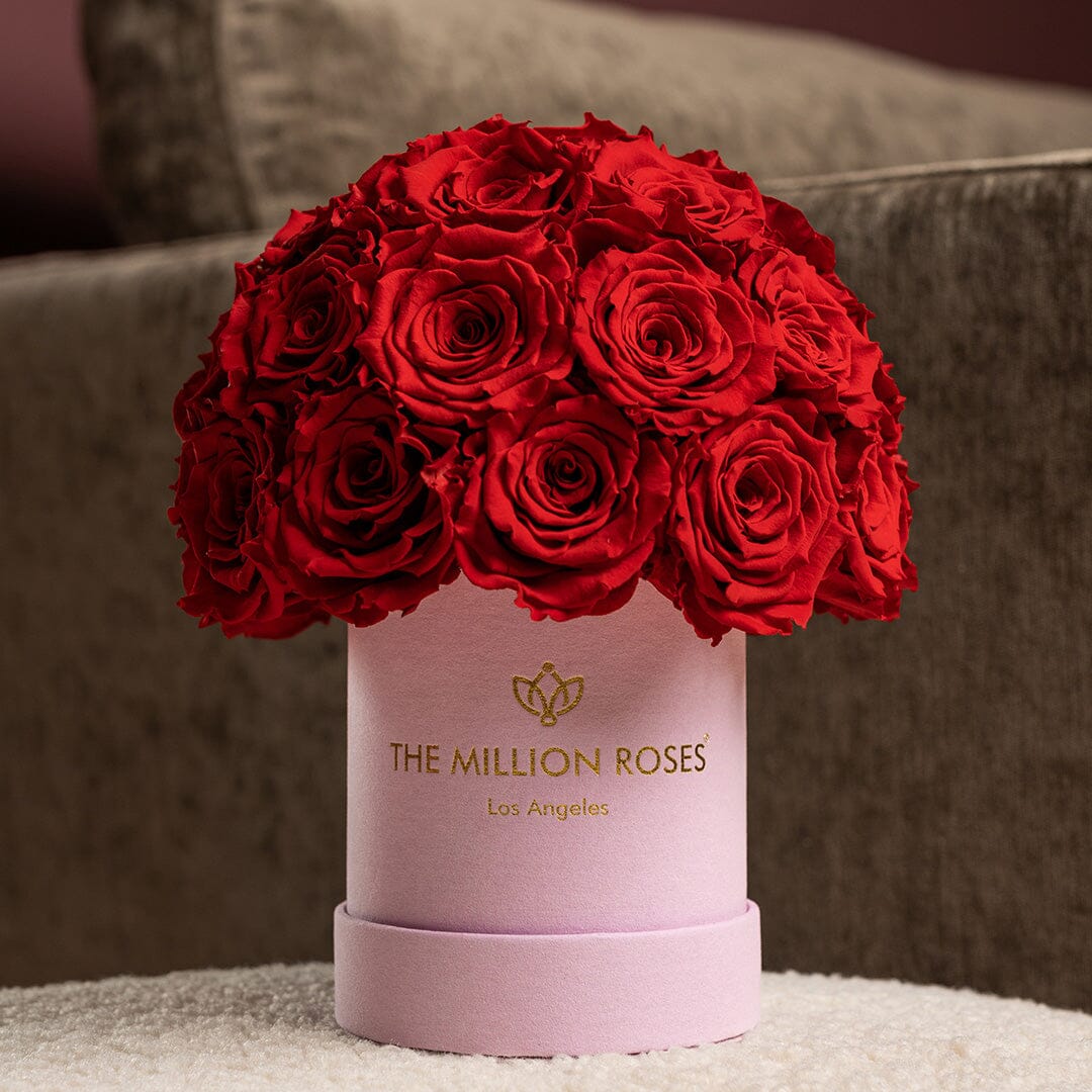 Basic Light Pink Suede Superdome Box | Red Roses