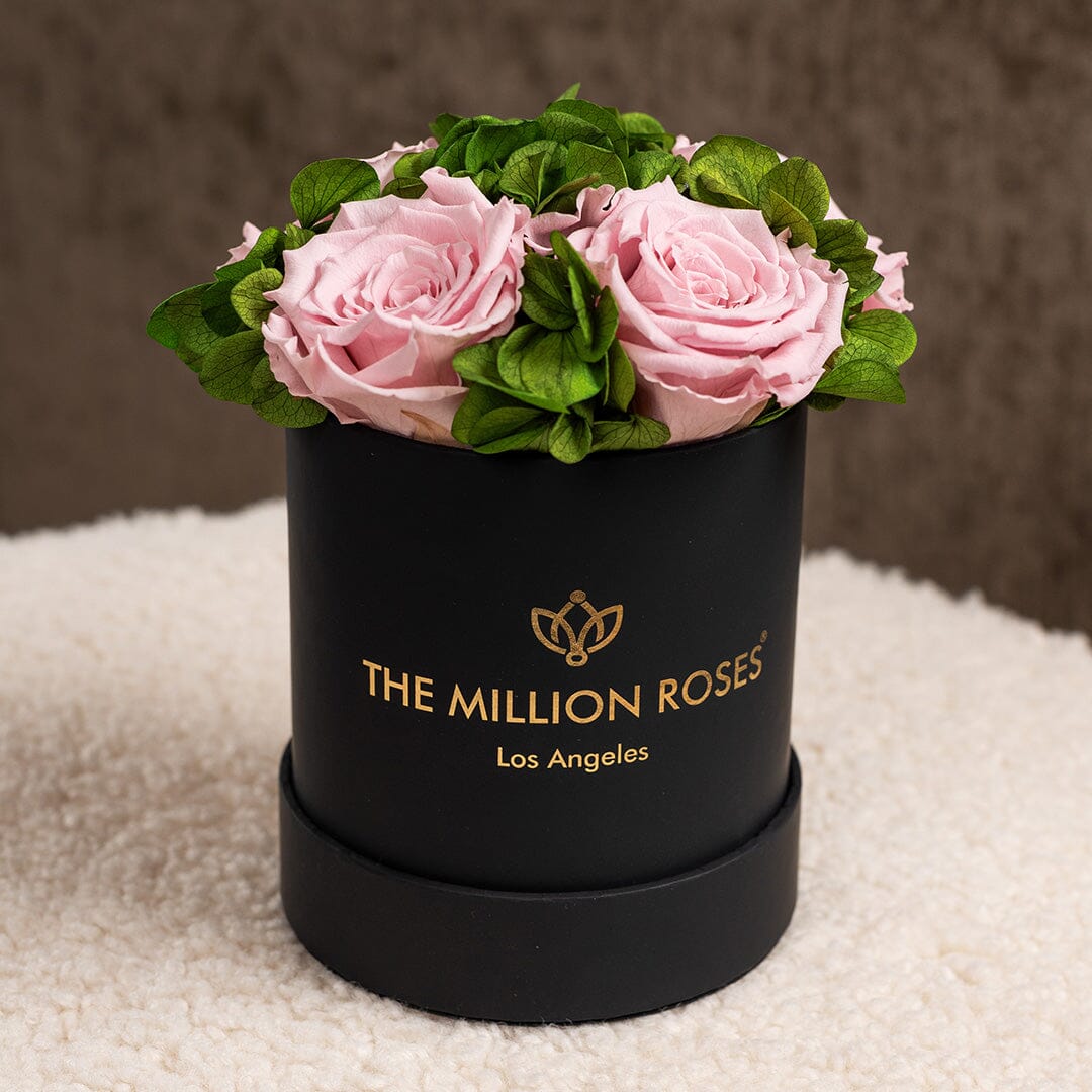 Basic Black Garden Box | Light Pink Roses