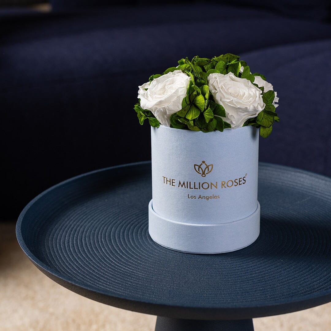 Basic Light Blue Suede Garden Box | White Roses