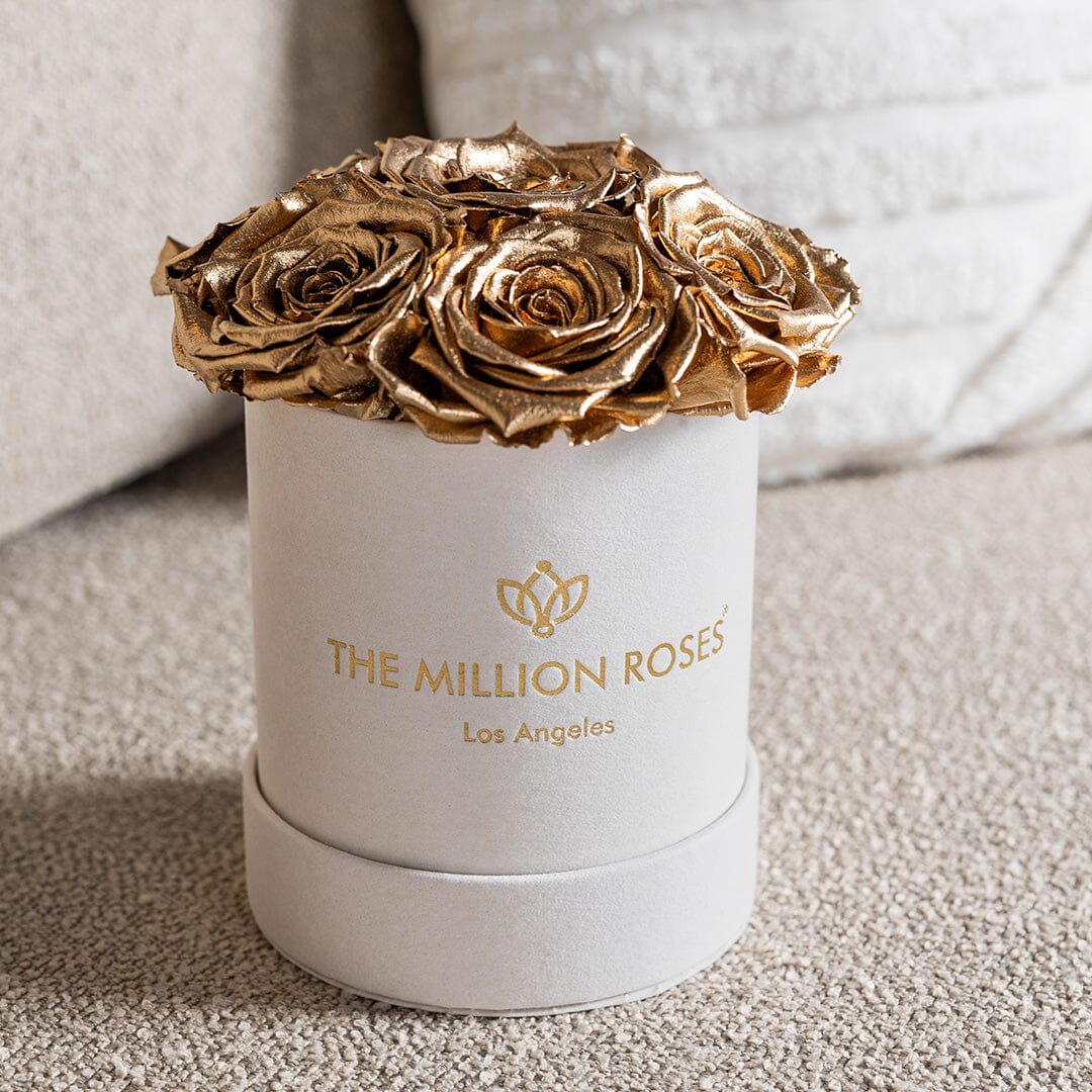 Basic Beige Suede Box | Gold Roses