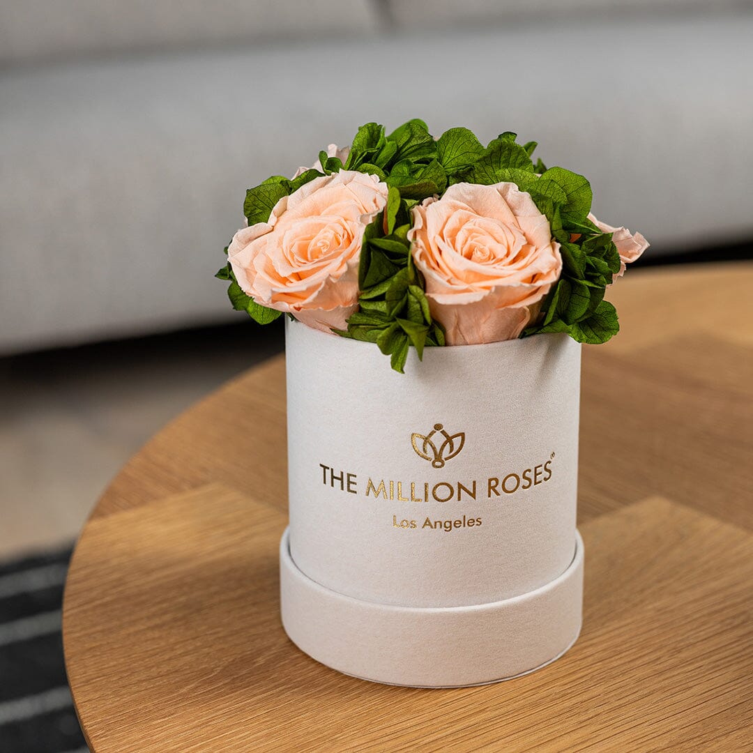 Basic Beige Suede Garden Box | Peach Roses