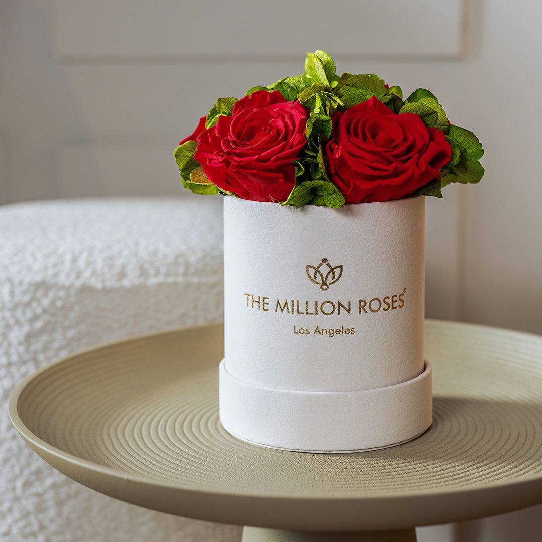 Basic Beige Suede Garden Box | Red Roses