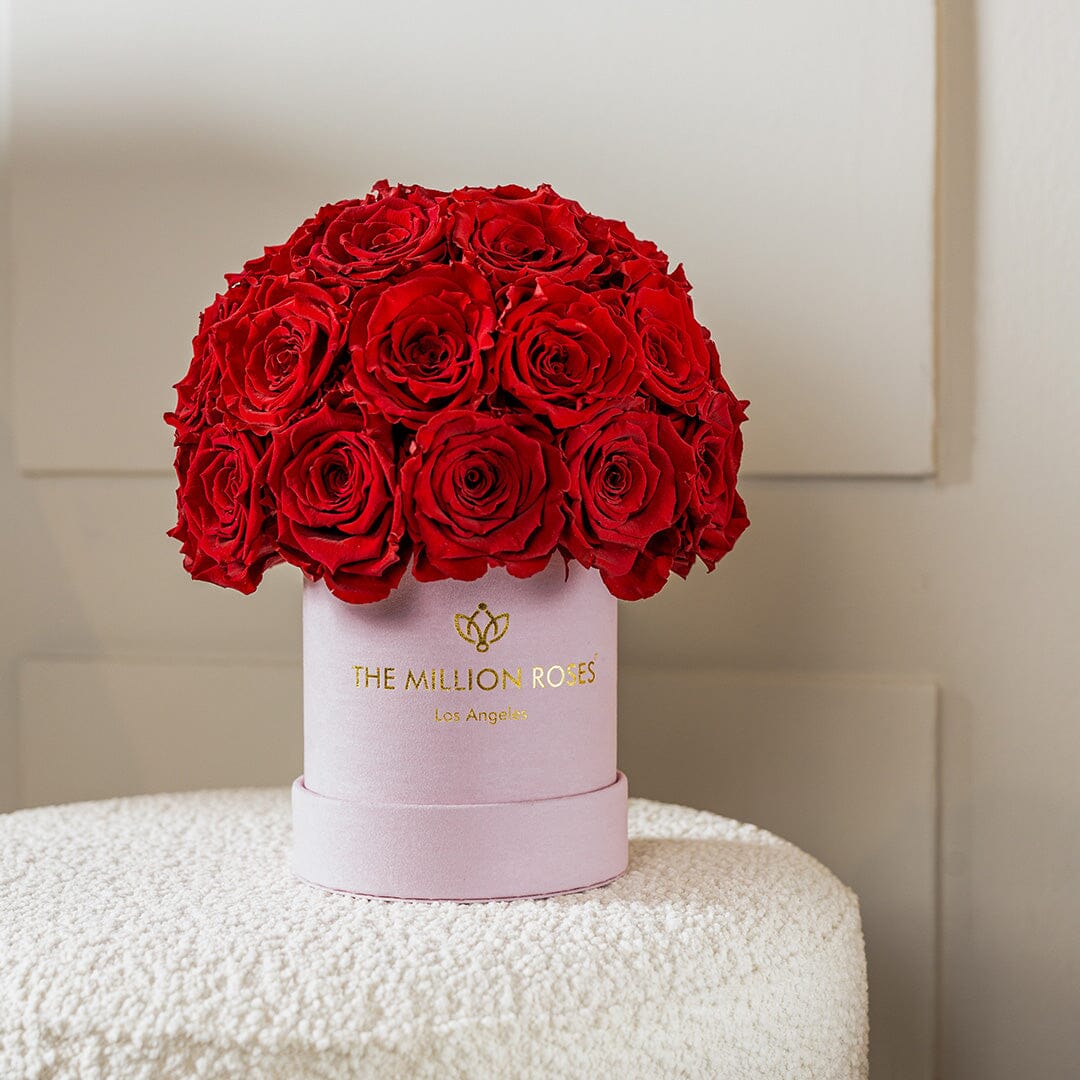 Basic Light Pink Suede Superdome Box | Red Roses