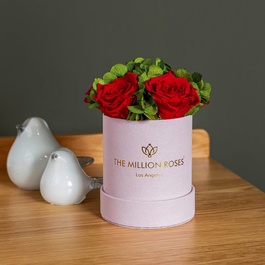 Basic Light Pink Suede Garden Box | Red Roses