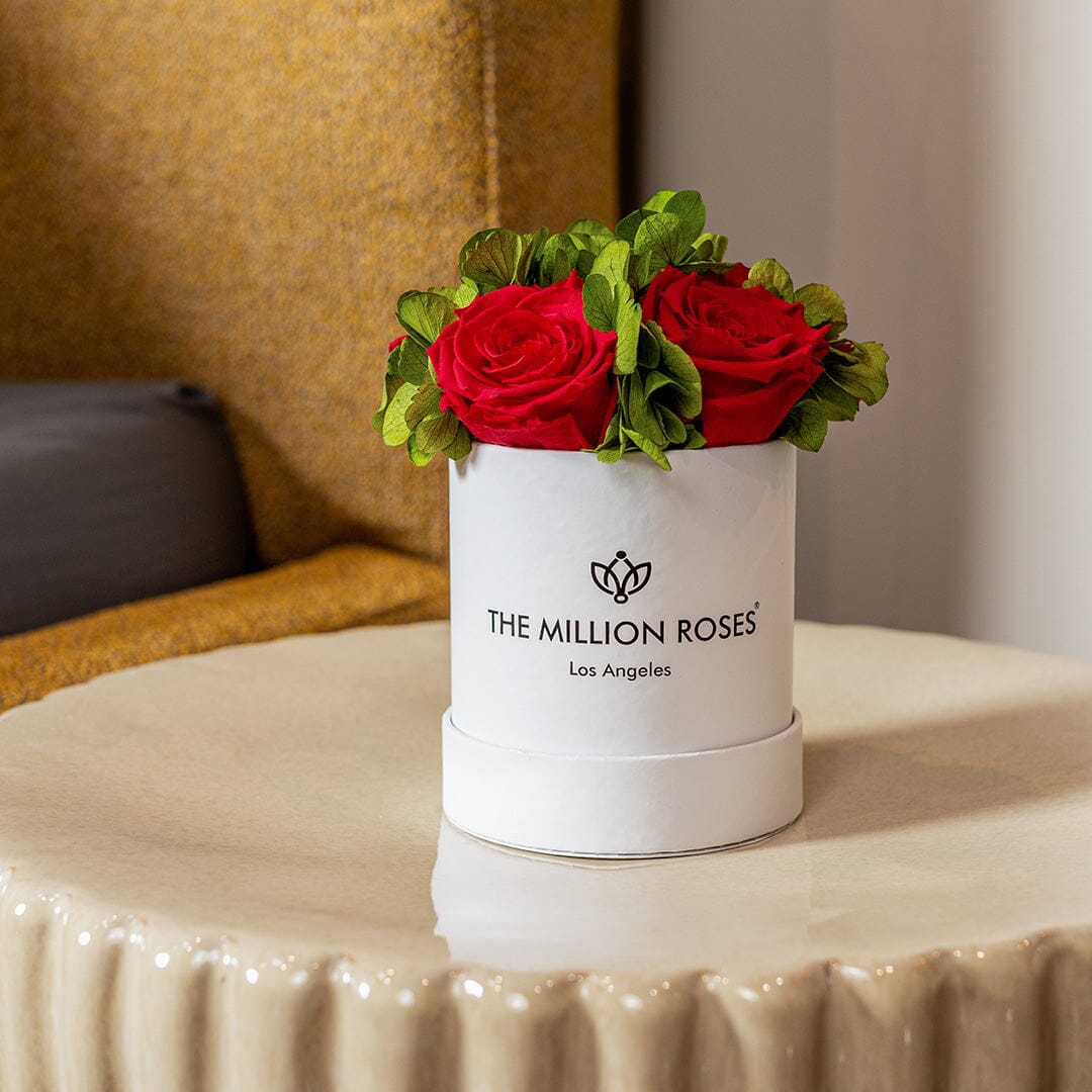 Basic White Garden Box | Red Roses