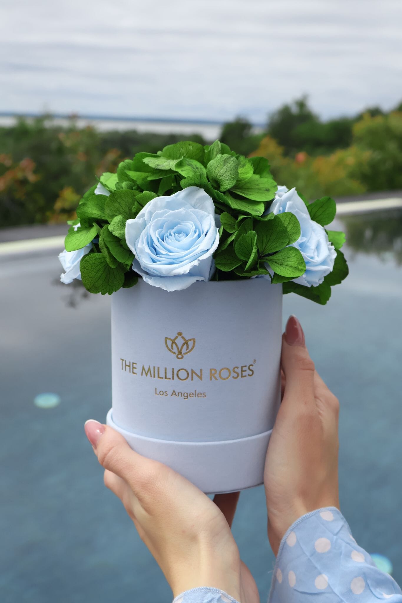 Basic Light Blue Suede Garden Box | Light Blue Roses