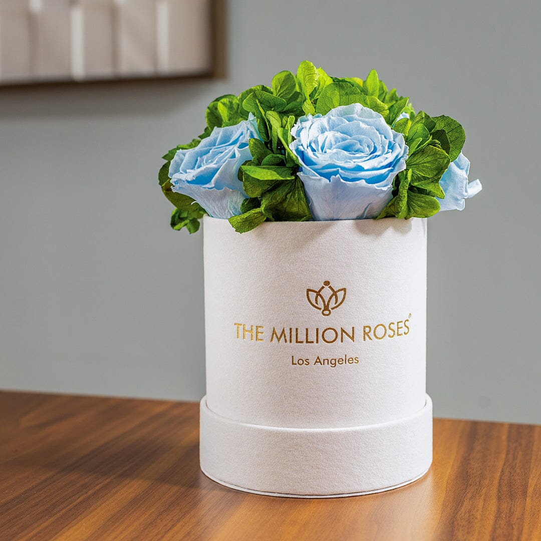 Basic Beige Suede Garden Box | Light Blue Roses