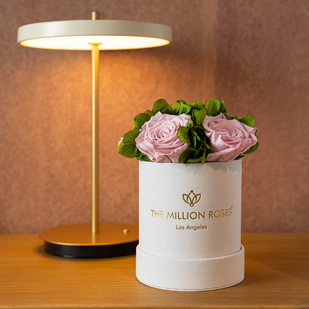 Basic Beige Suede Garden Box | Light Pink Roses