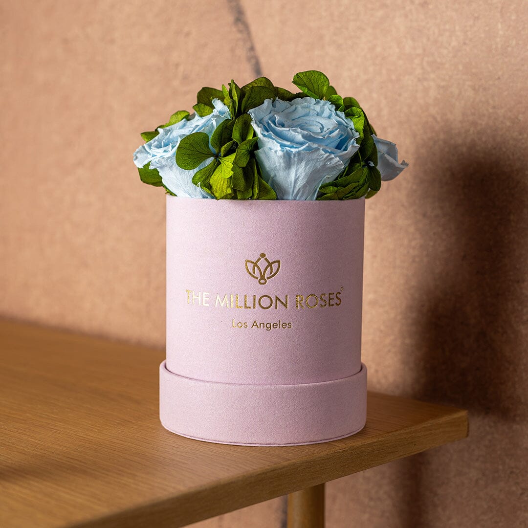 Basic Light Pink Suede Garden Box | Light Blue Roses