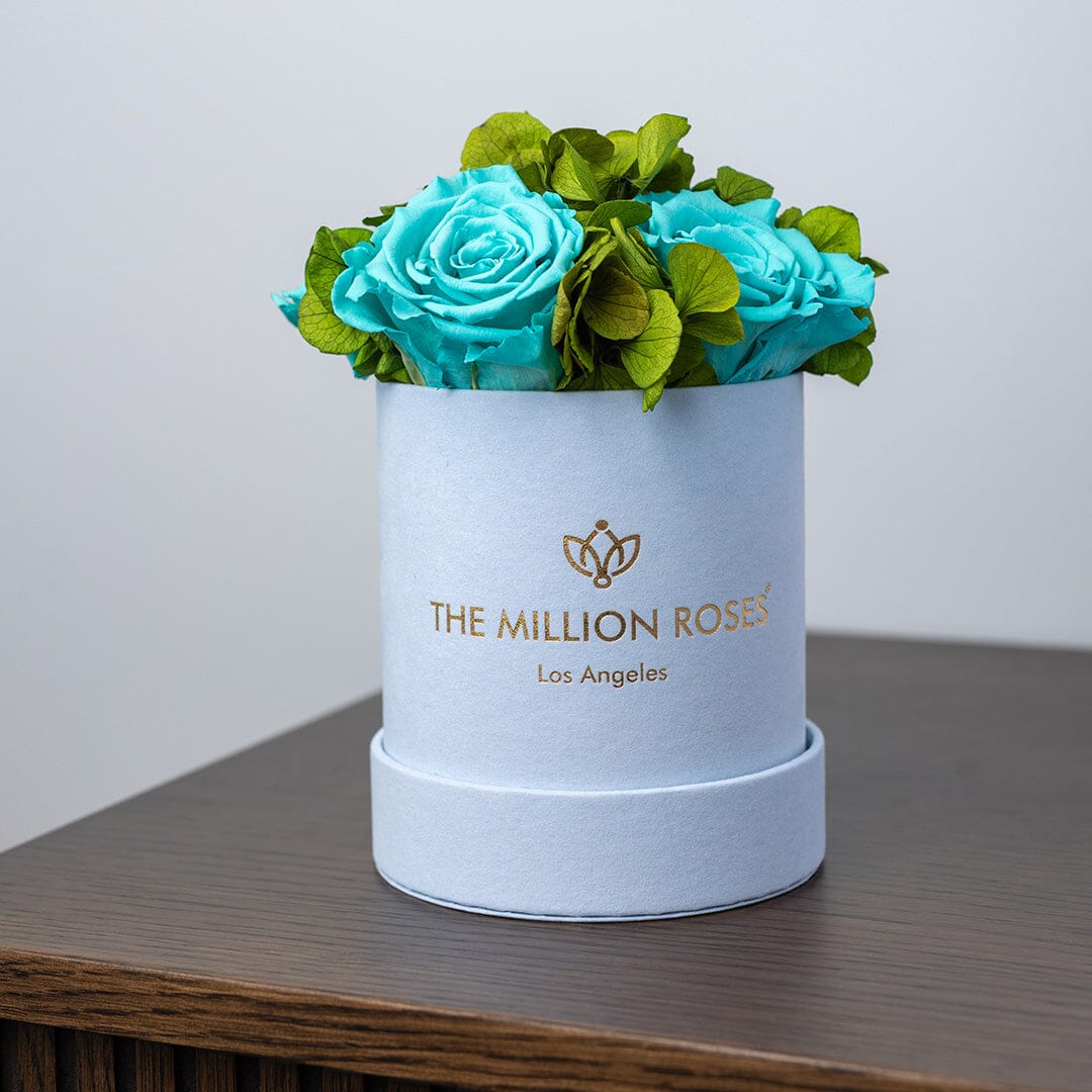 Basic Light Blue Suede Garden Box | Turquoise Roses