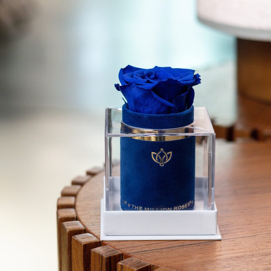 ‍Single Royal Blue Suede Box | Royal Blue Rose (100% off)