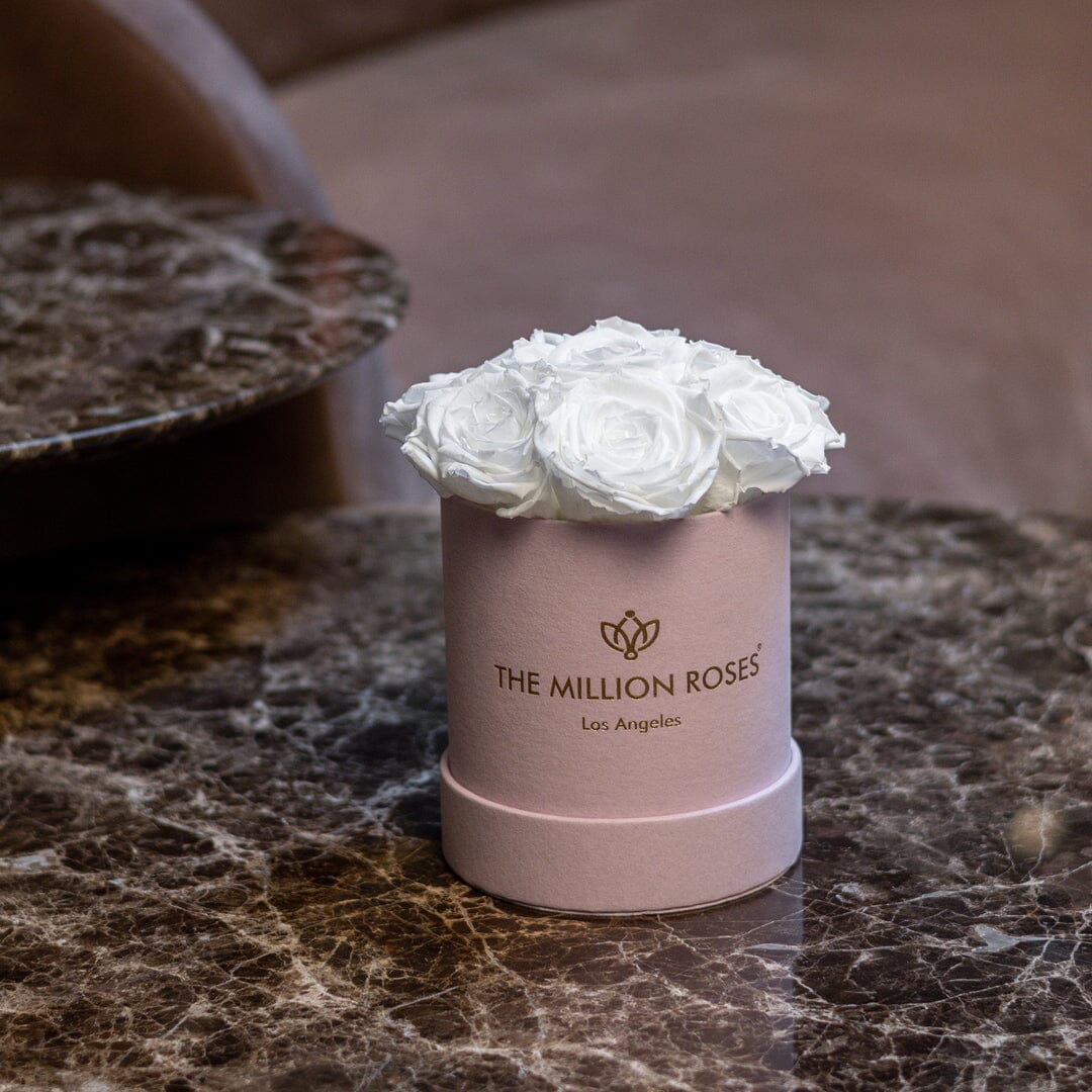 Basic Light Pink Suede Box | White Roses