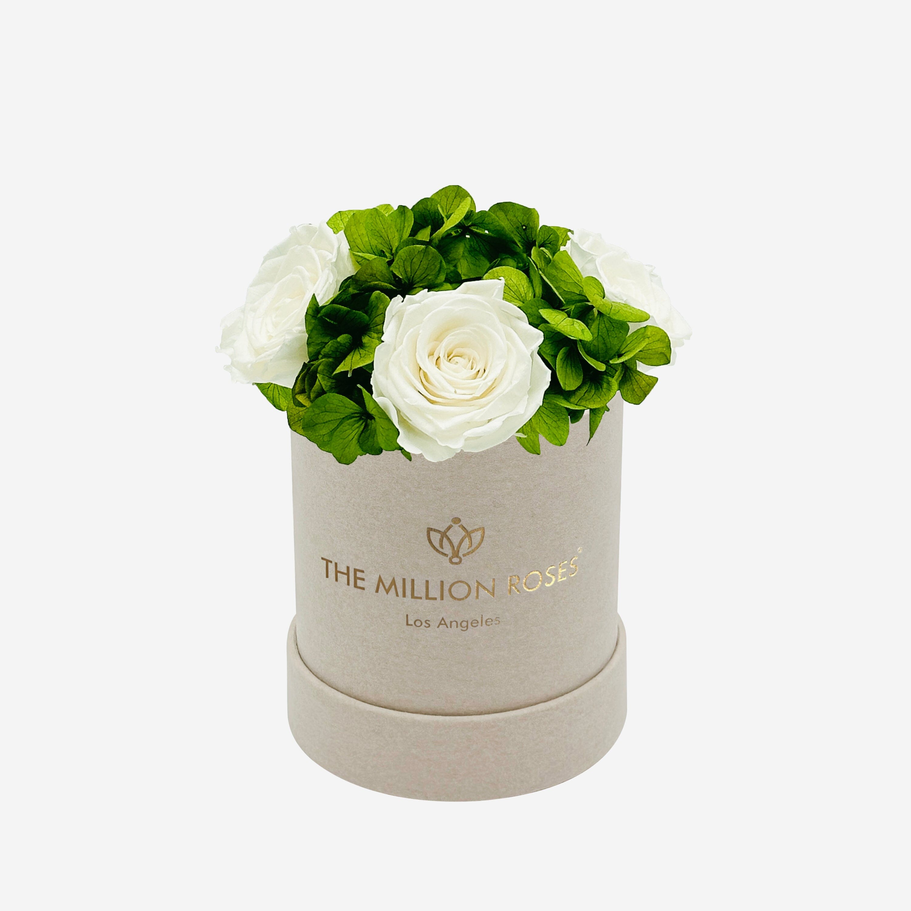 Basic Beige Suede Garden Box | White Roses