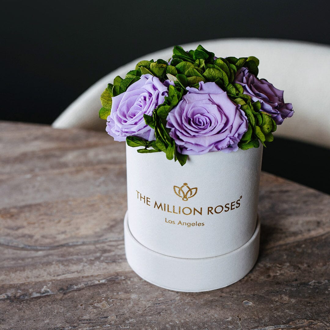 Basic Beige Suede Garden Box | Lavender Roses