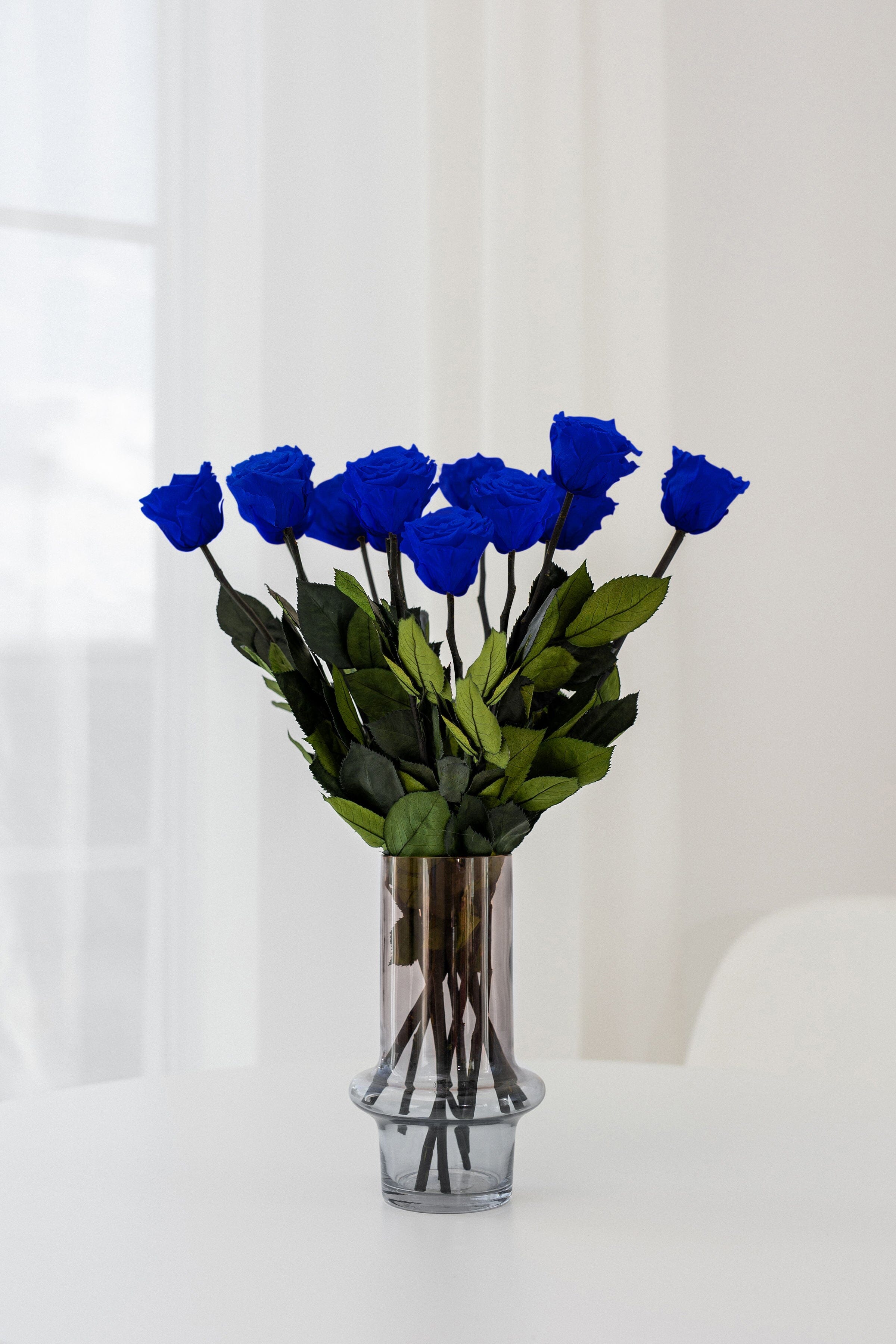 Rosas de Tallo Largo | Rosas Azules