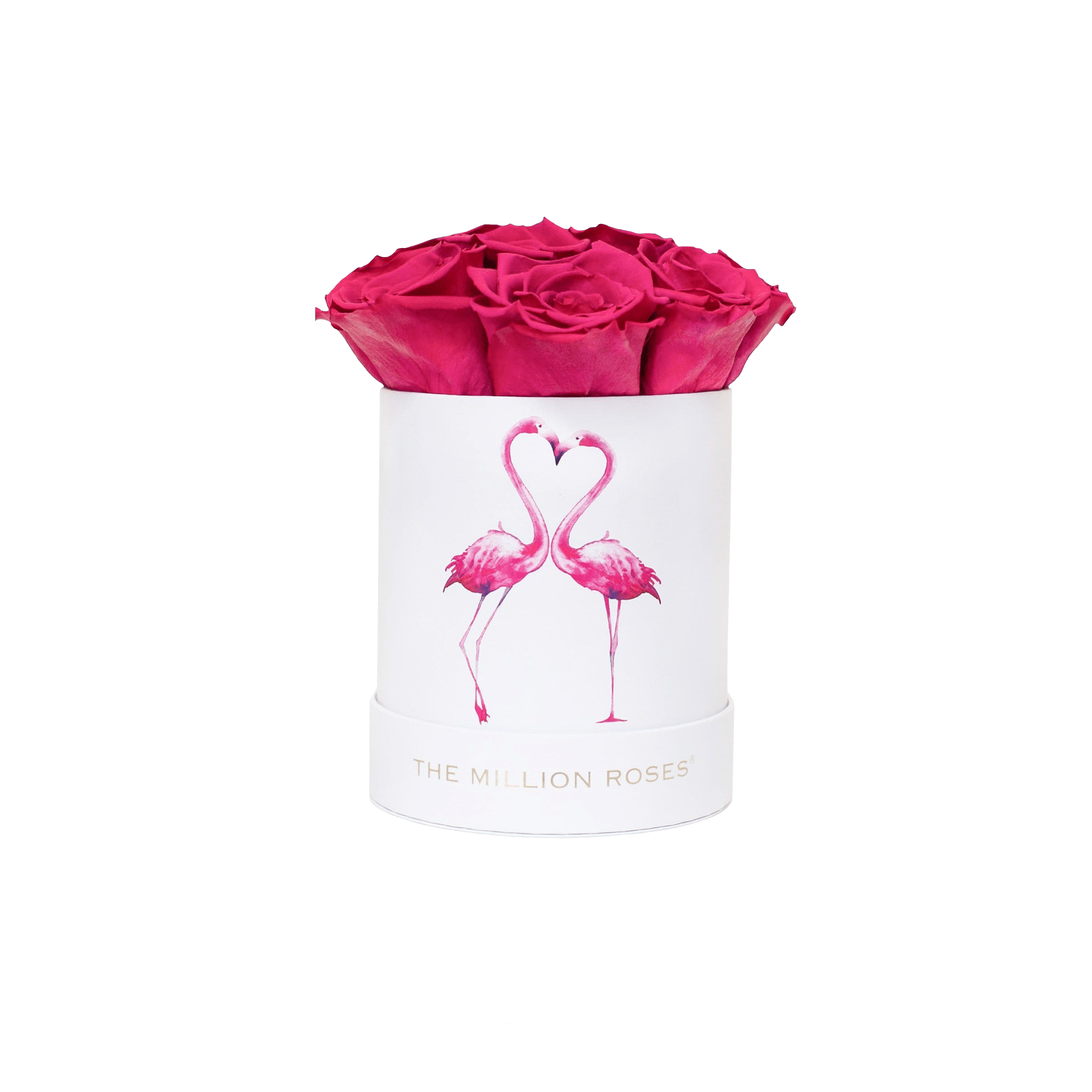 Basic Caja Blanca | Flamingo Edition | Rosas Magenta