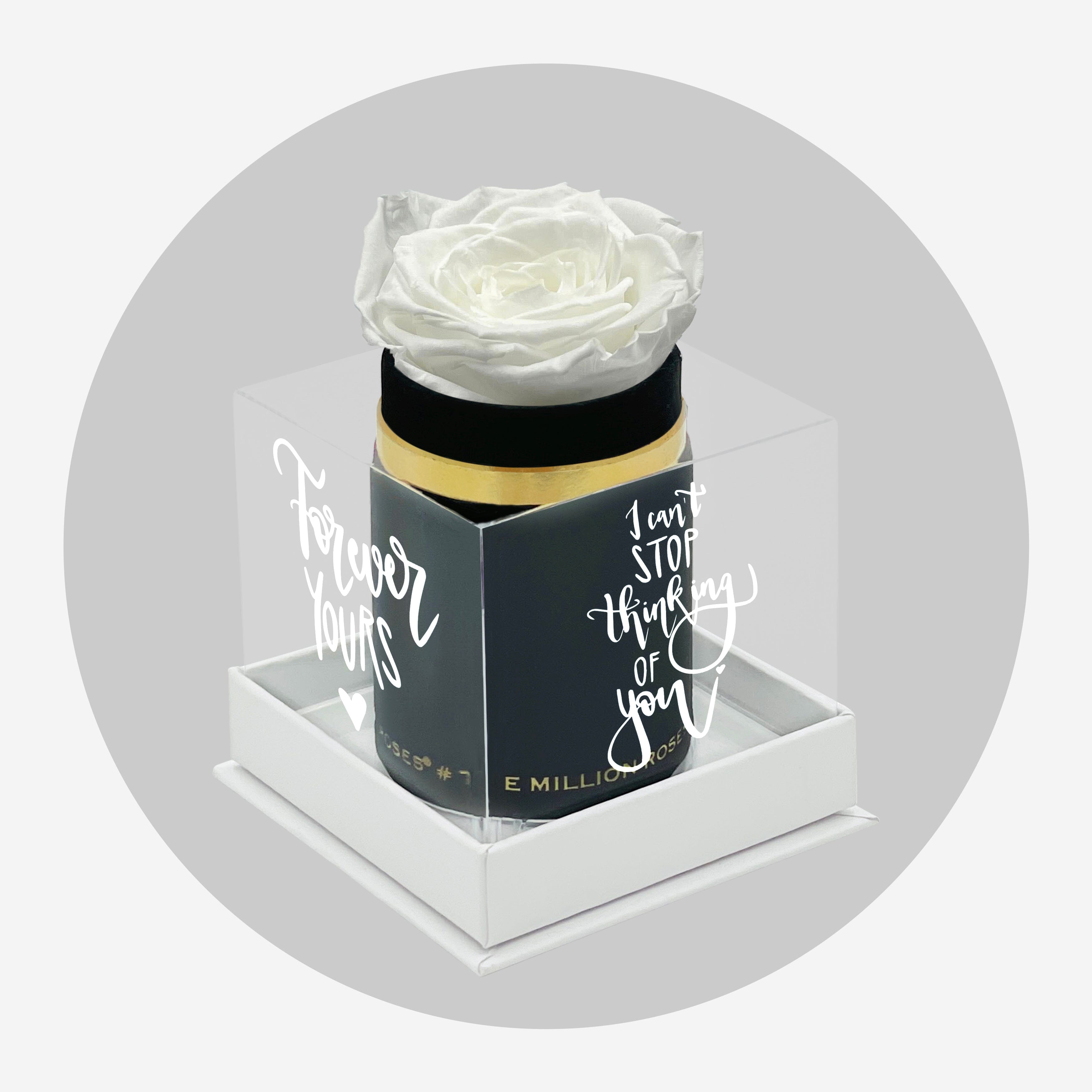 Single Black Suede Box | Limited Love Note Edition | White Rose