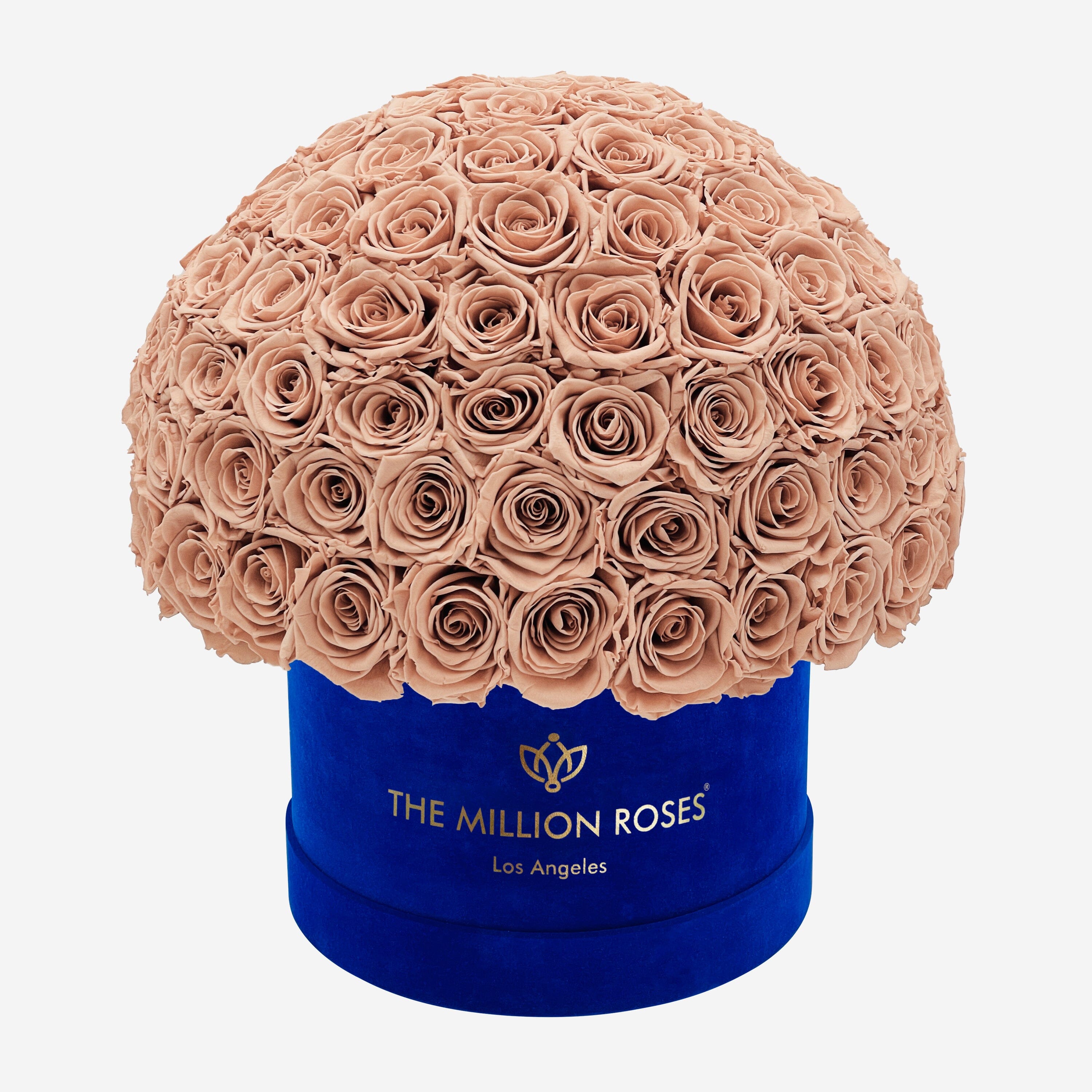 Supreme Royal Blue Suede Superdome Box | Sand Roses