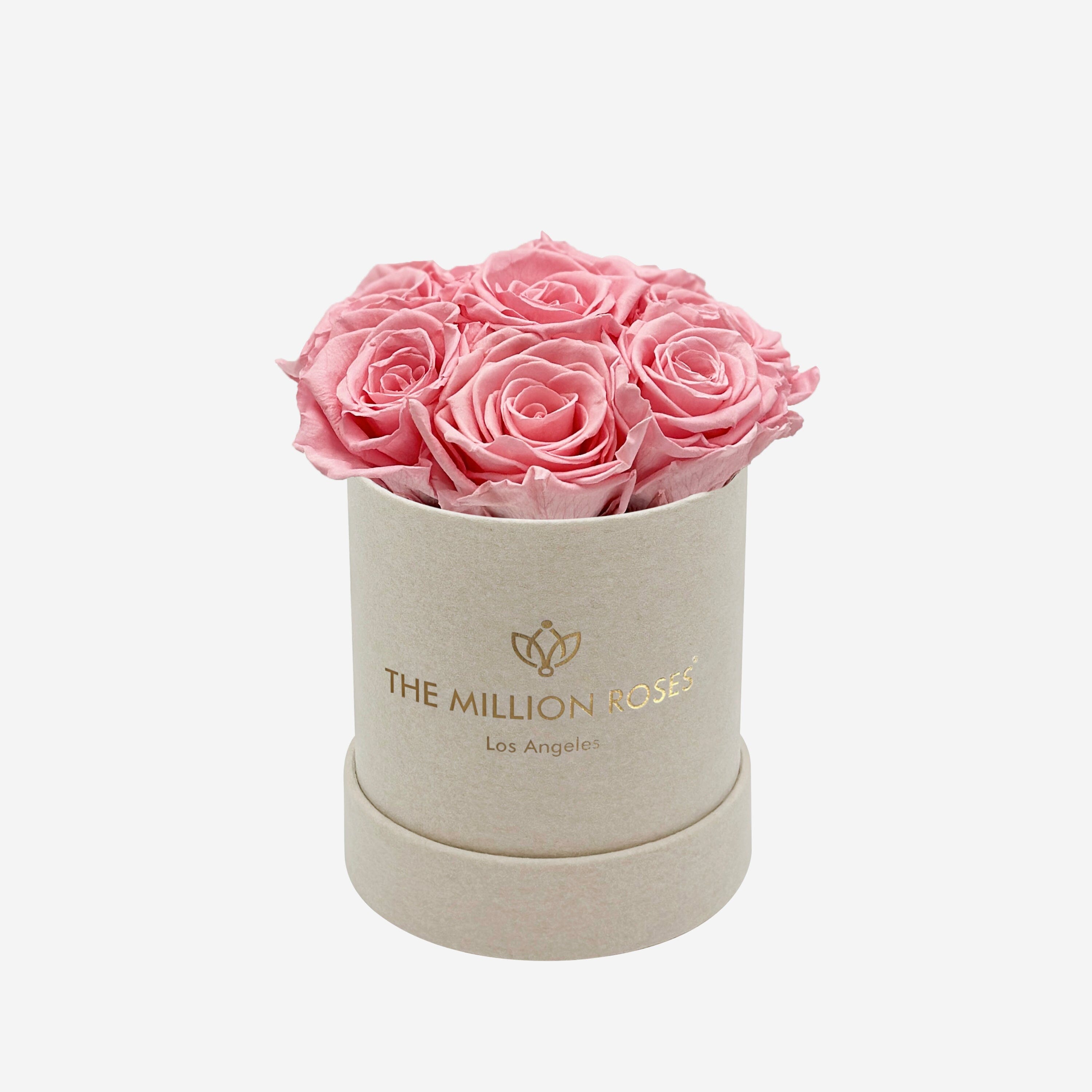 Basic Beige Suede Box | Light Pink Roses