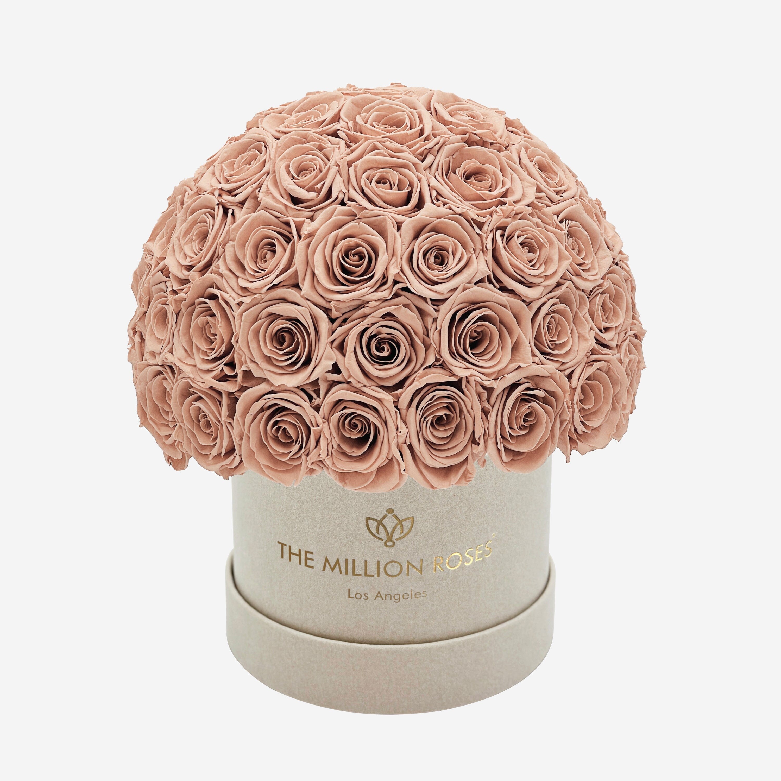 Classic Beige Suede Superdome Box | Sand Roses