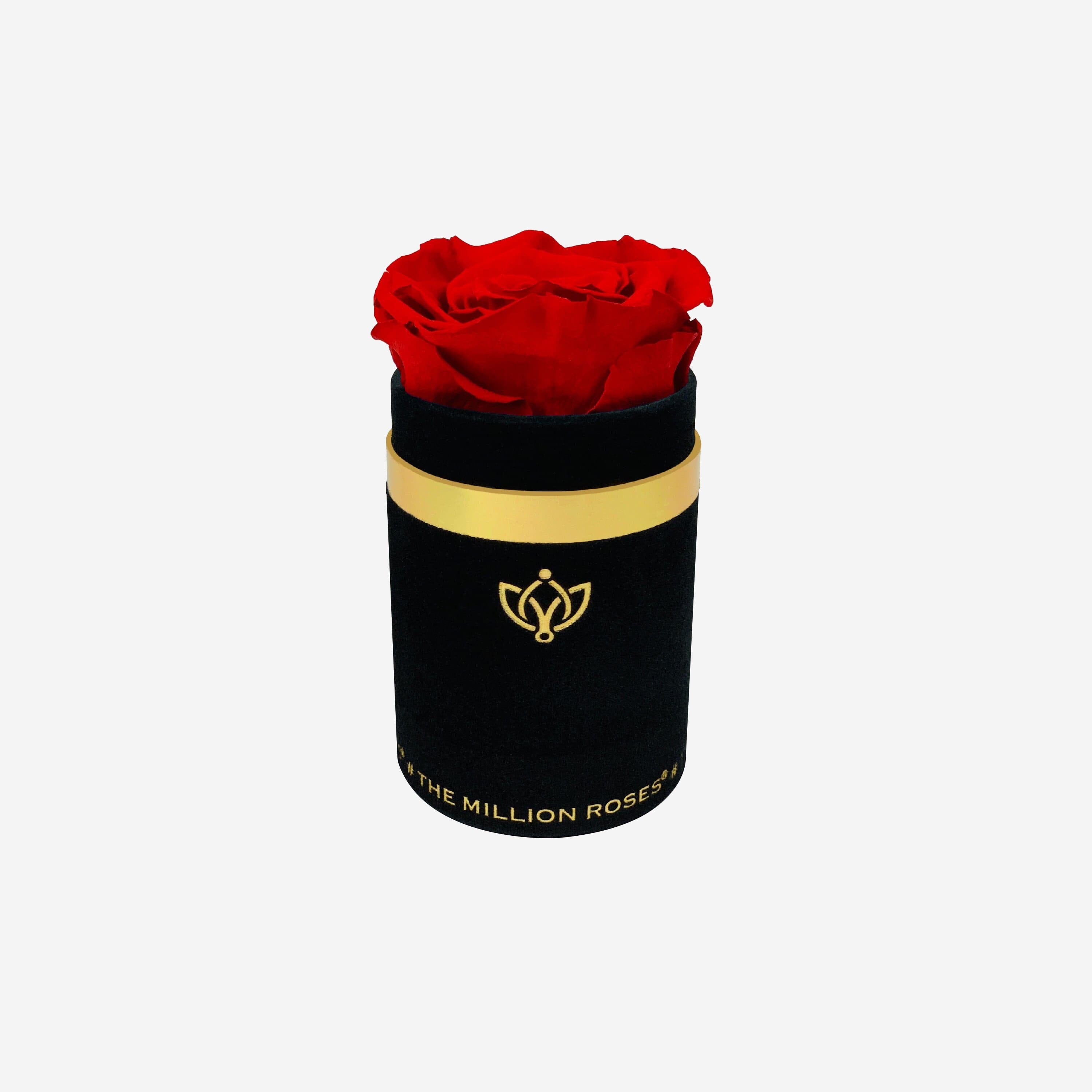 Single Black Suede Box | Red Rose - The Million Roses