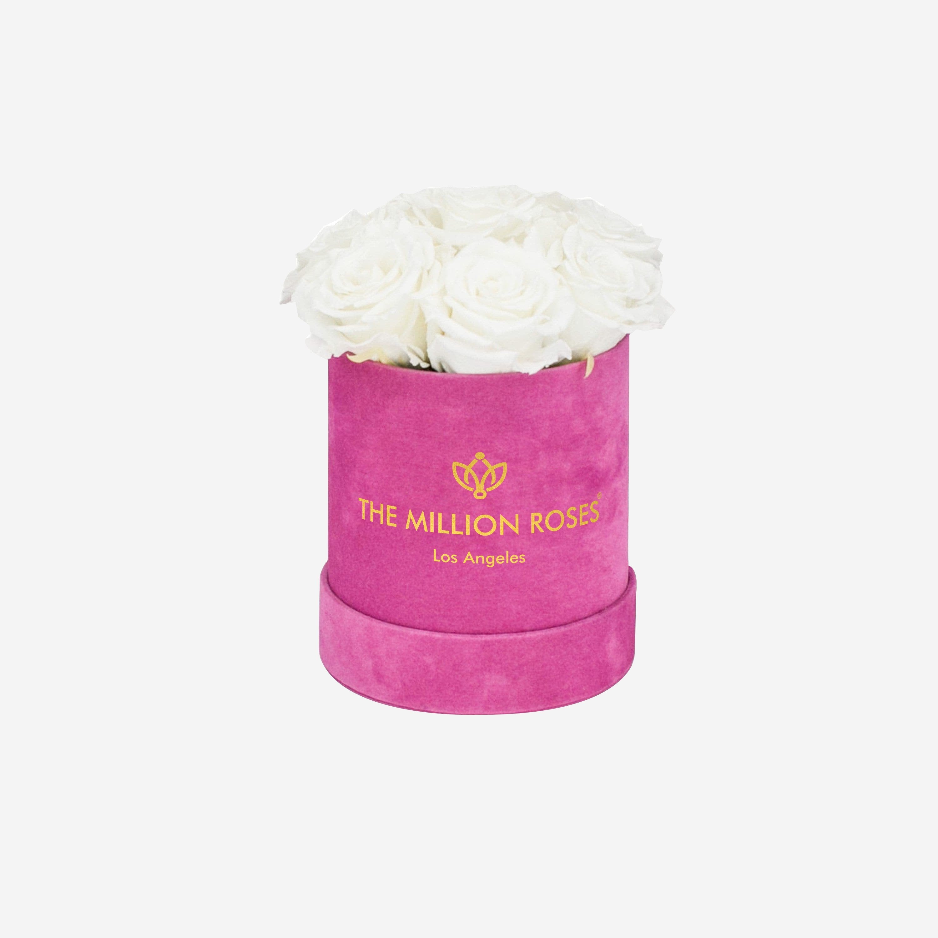 Basic Hot Pink Suede Box | White Roses - The Million Roses