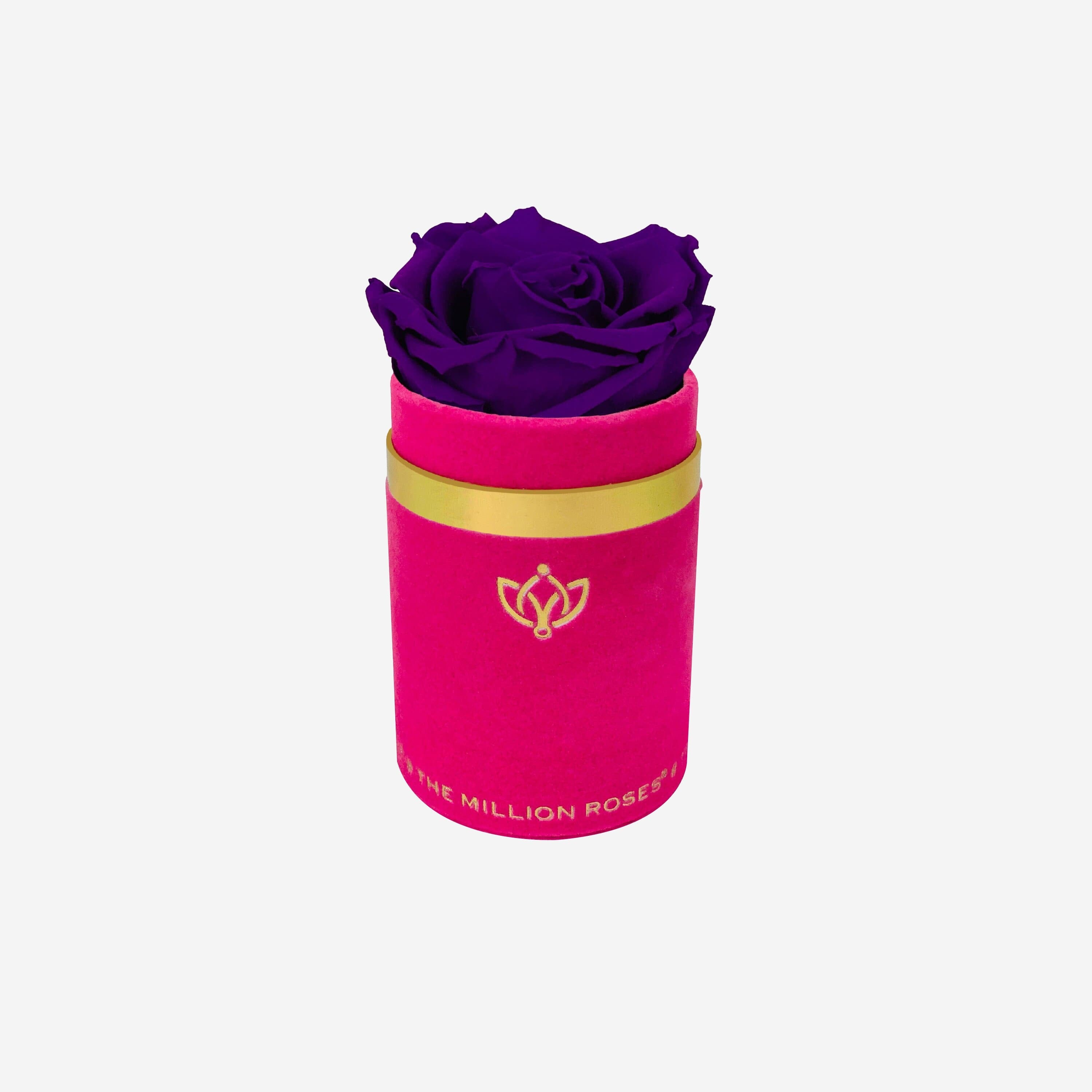 Single Hot Pink Suede Box | Bright Purple Rose - The Million Roses