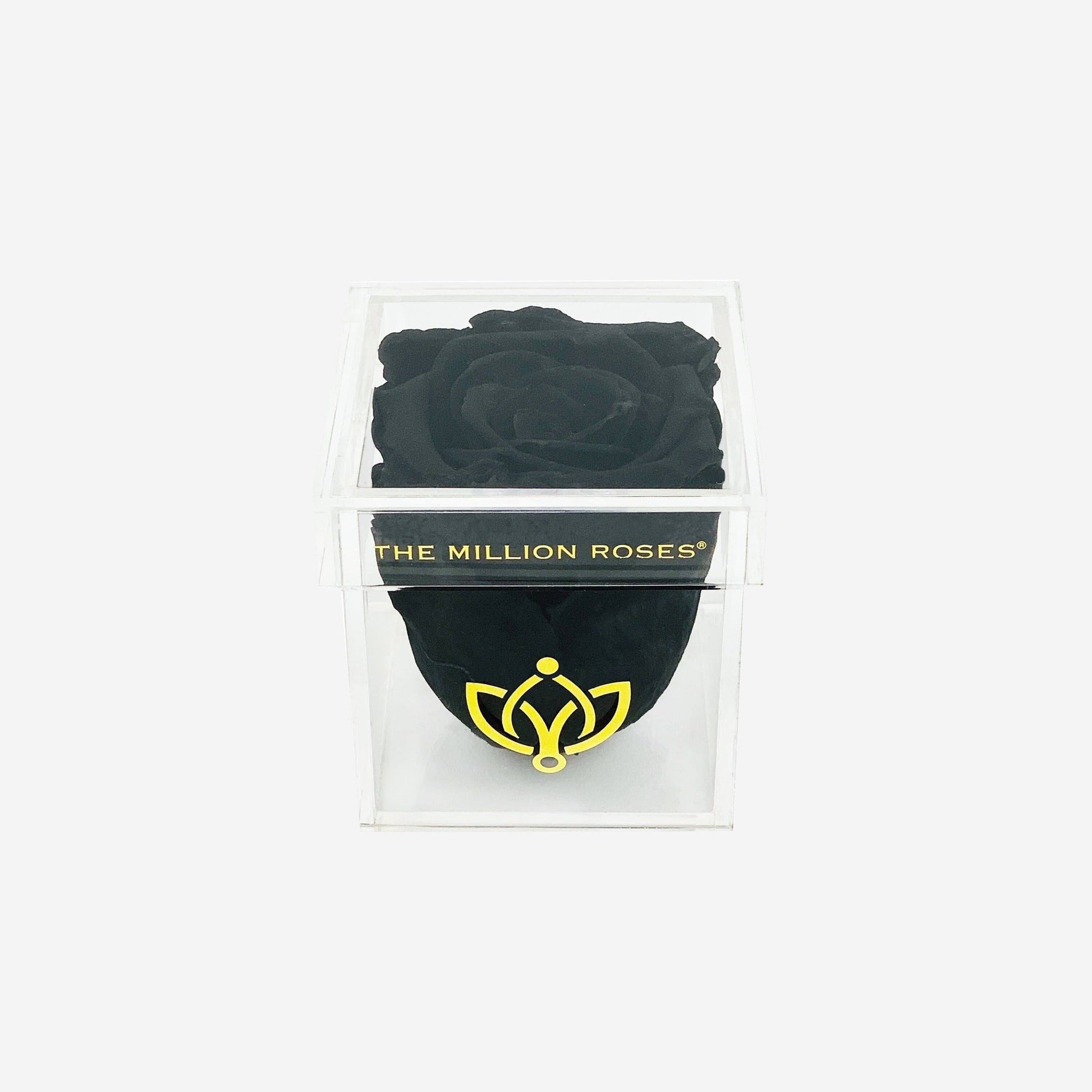 Acrylic Single Box | Black Rose - The Million Roses