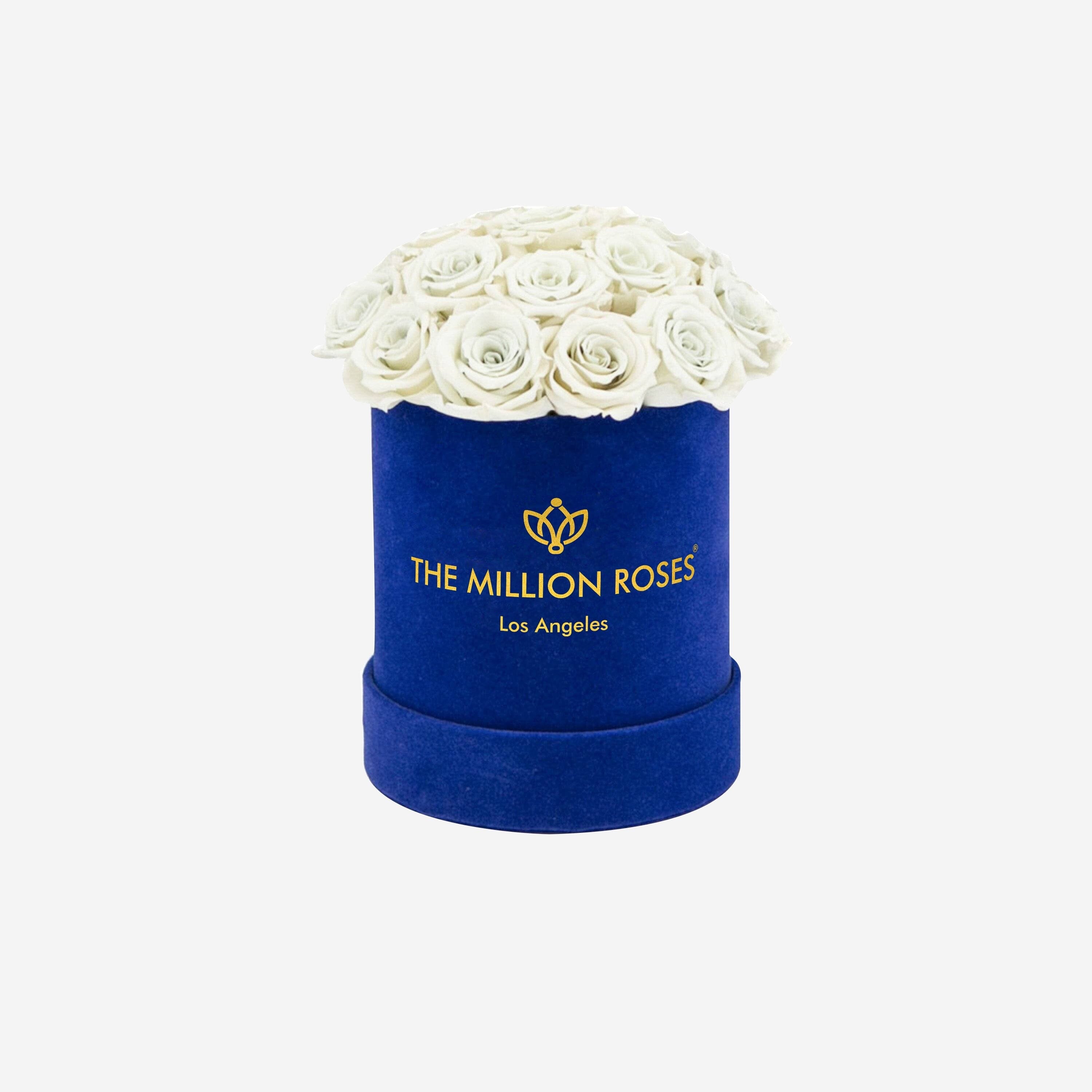 Basic Royal Blue Suede Box | White Roses - The Million Roses