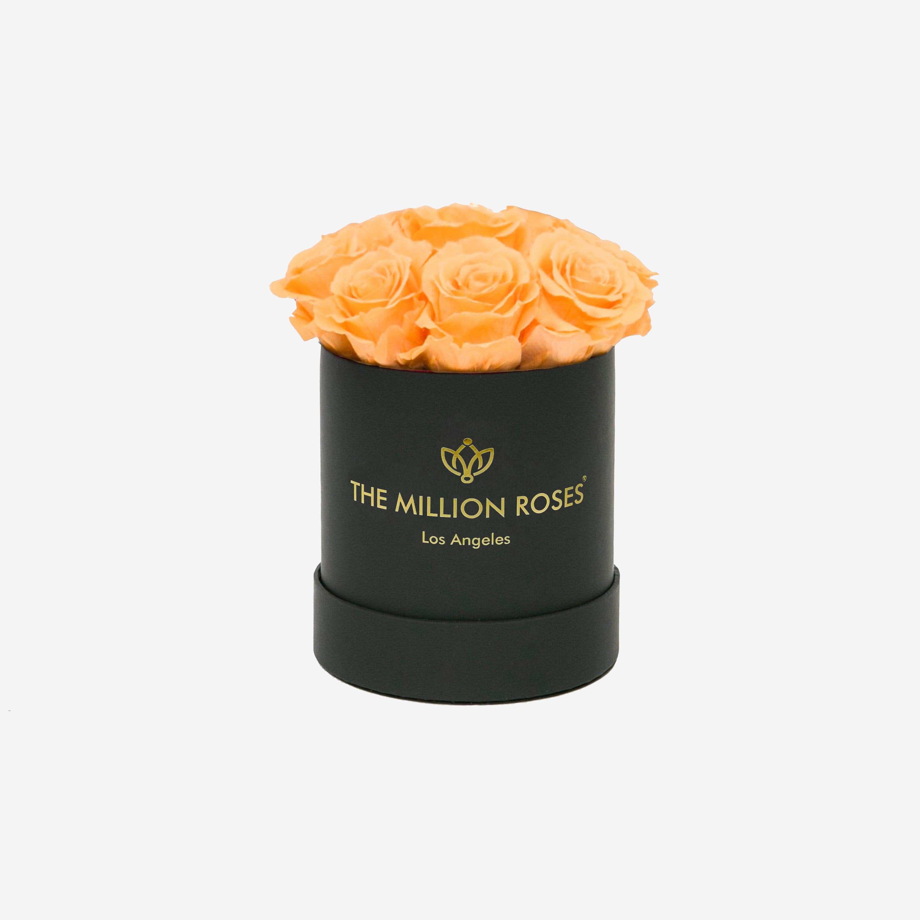 Basic Black Box | Peach Roses - The Million Roses