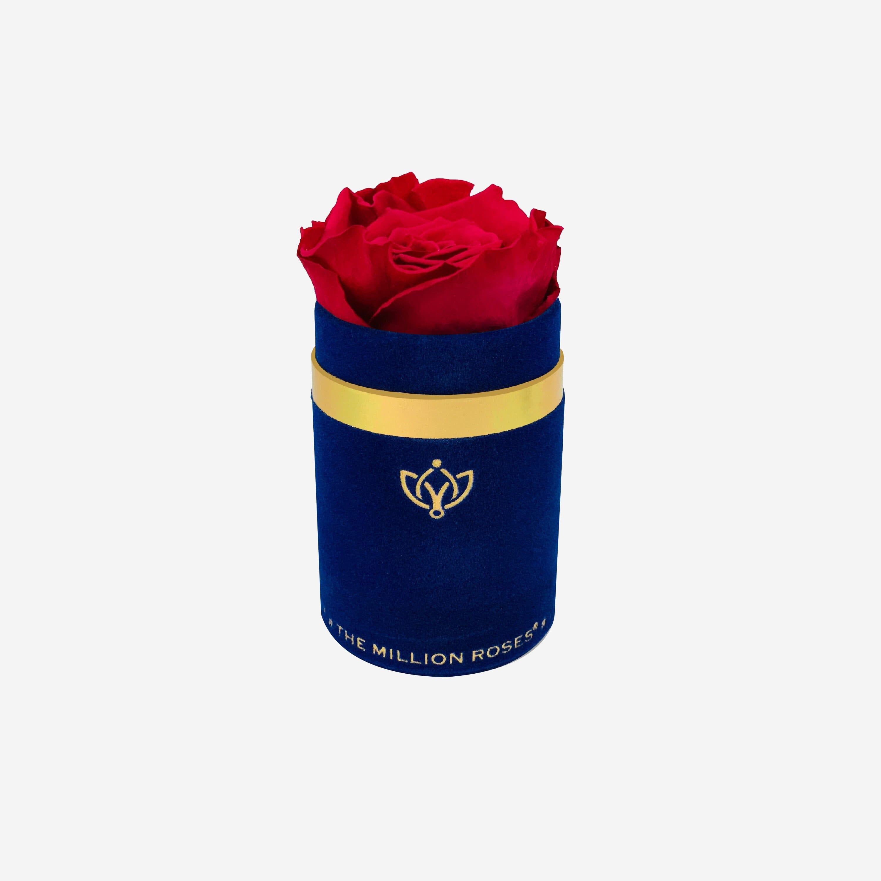 Single Royal Blue Suede Box | Magenta Rose - The Million Roses