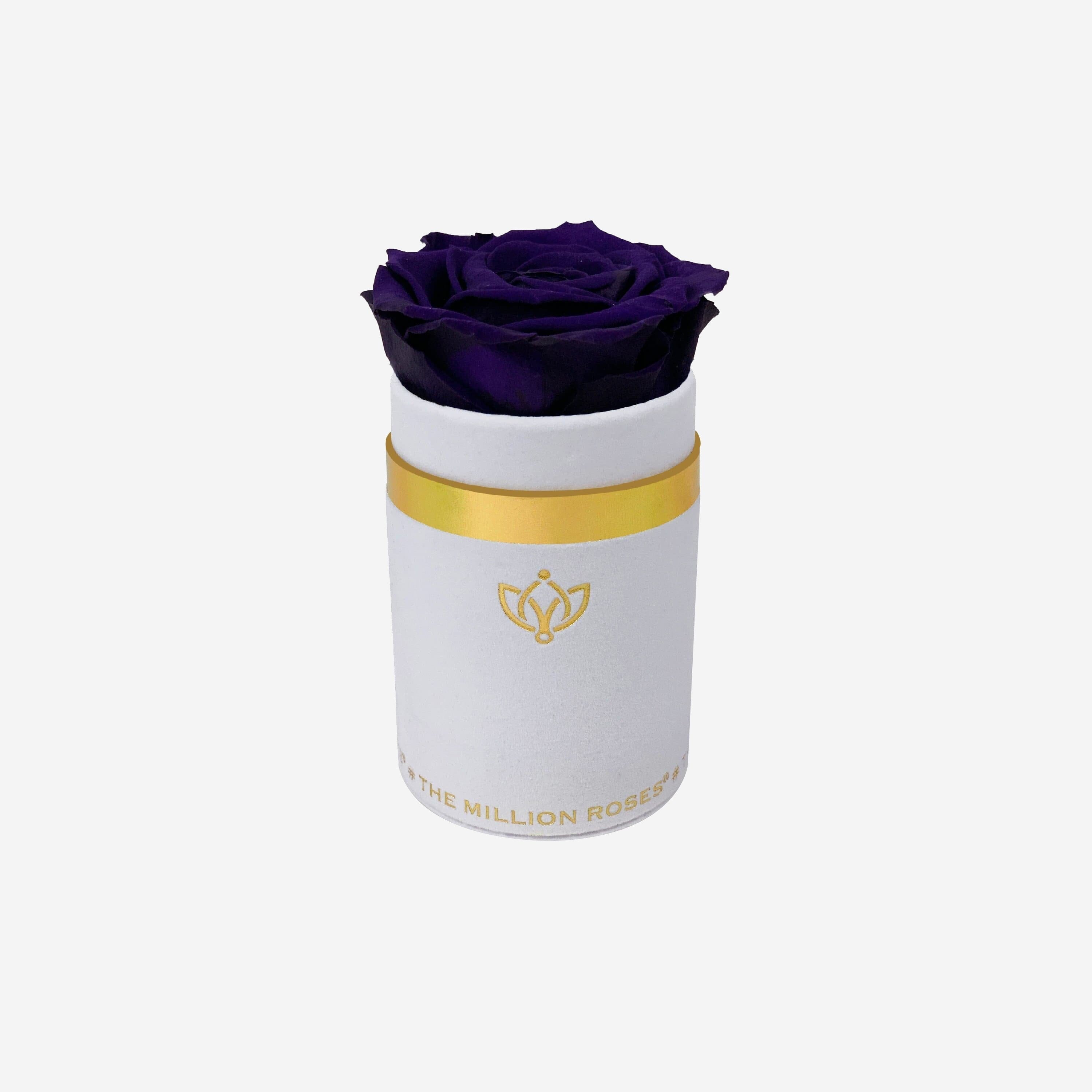 Single White Suede Box | Dark Purple Rose - The Million Roses