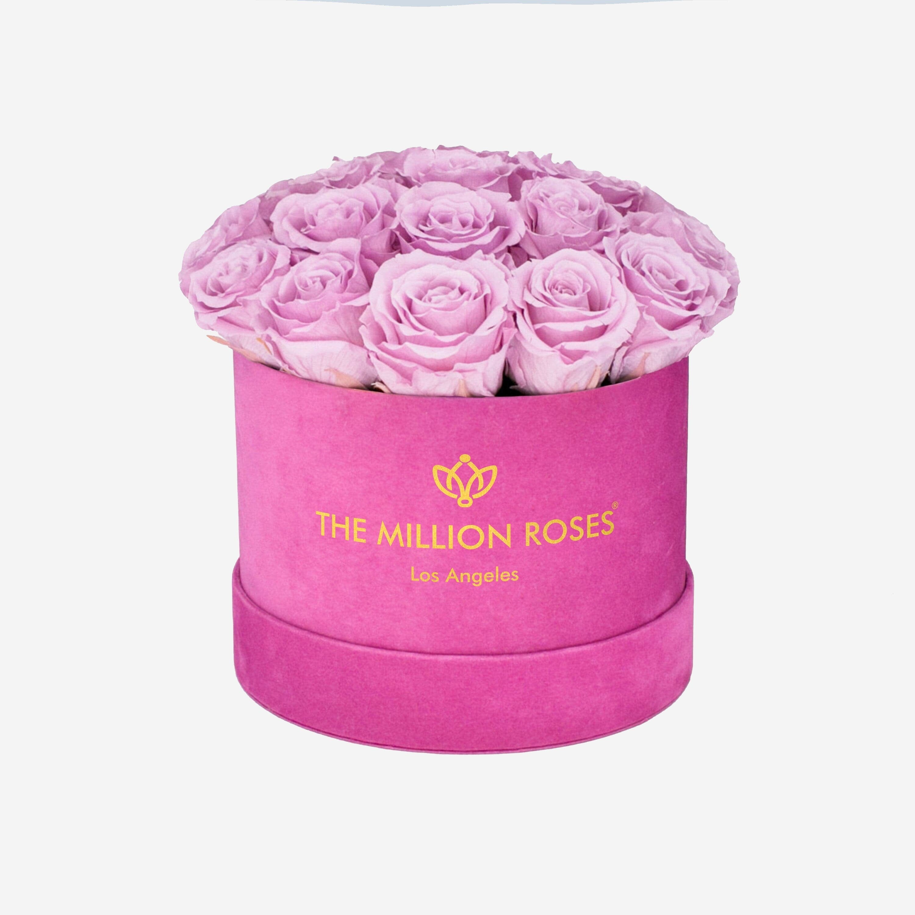 Classic Hot Pink Suede Box | Light Pink Roses - The Million Roses