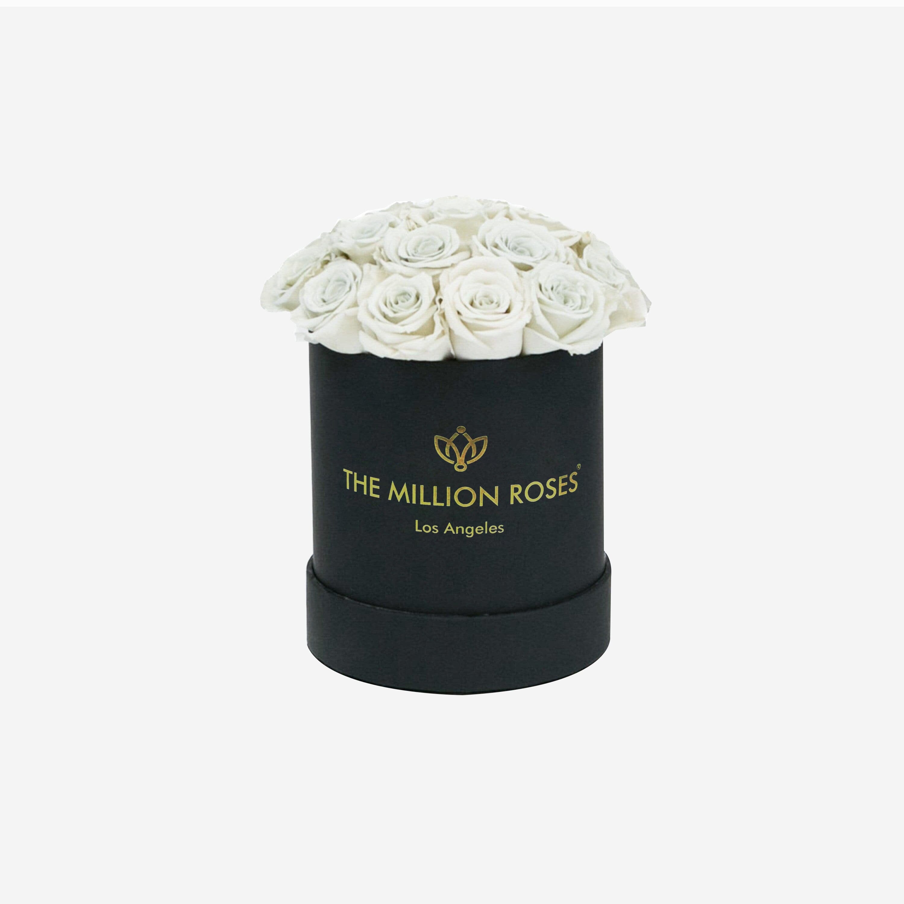 Basic Black Box | White Roses - The Million Roses