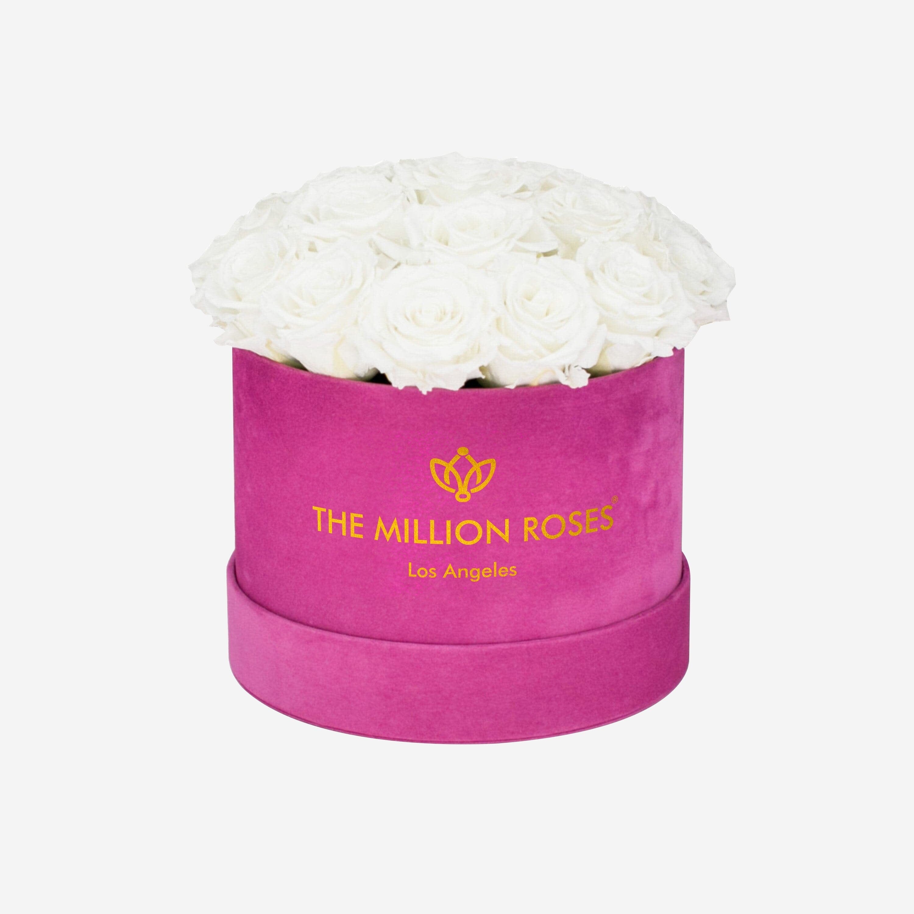 Classic Hot Pink Suede Box | White Roses - The Million Roses