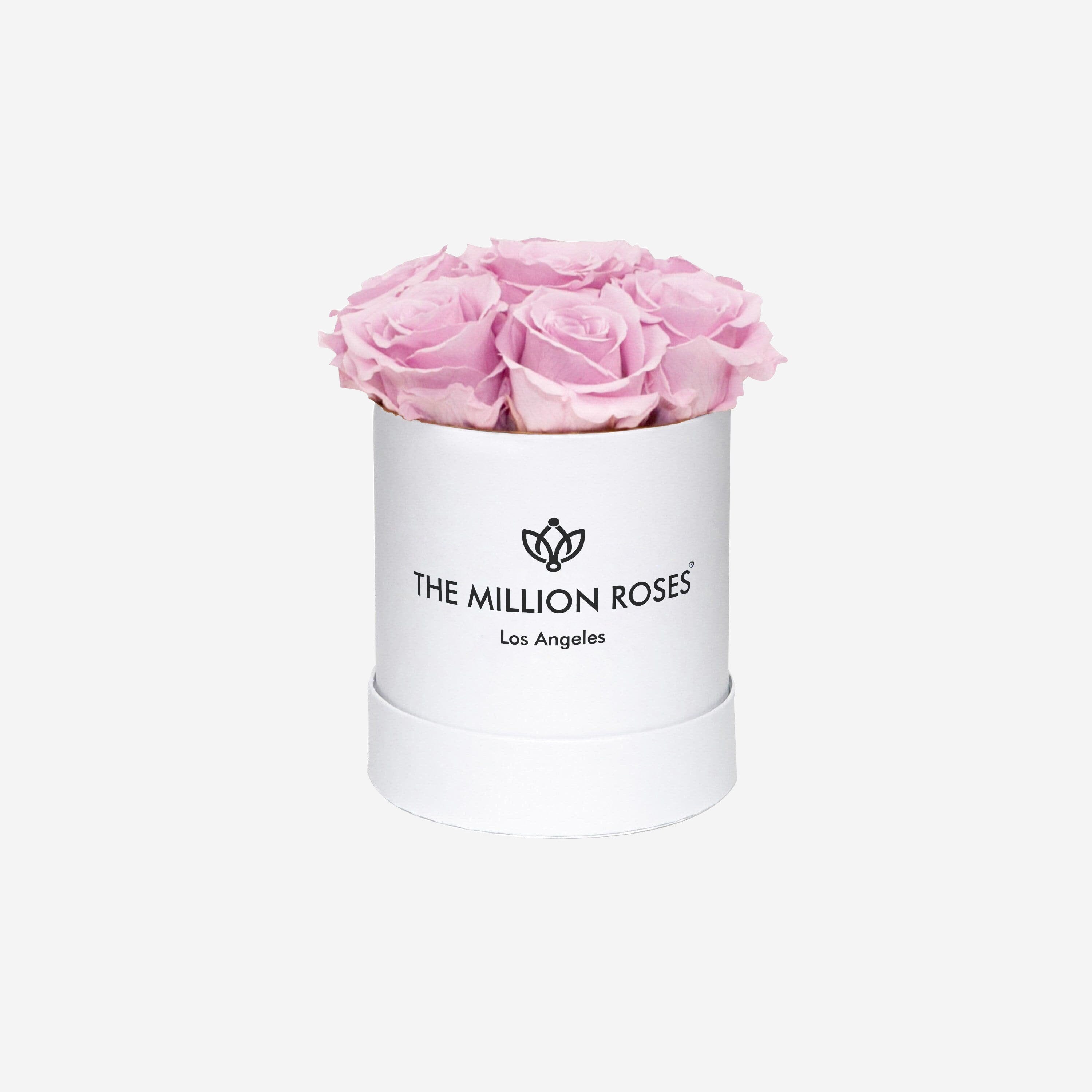 Basic White Box | Light Pink Roses - The Million Roses