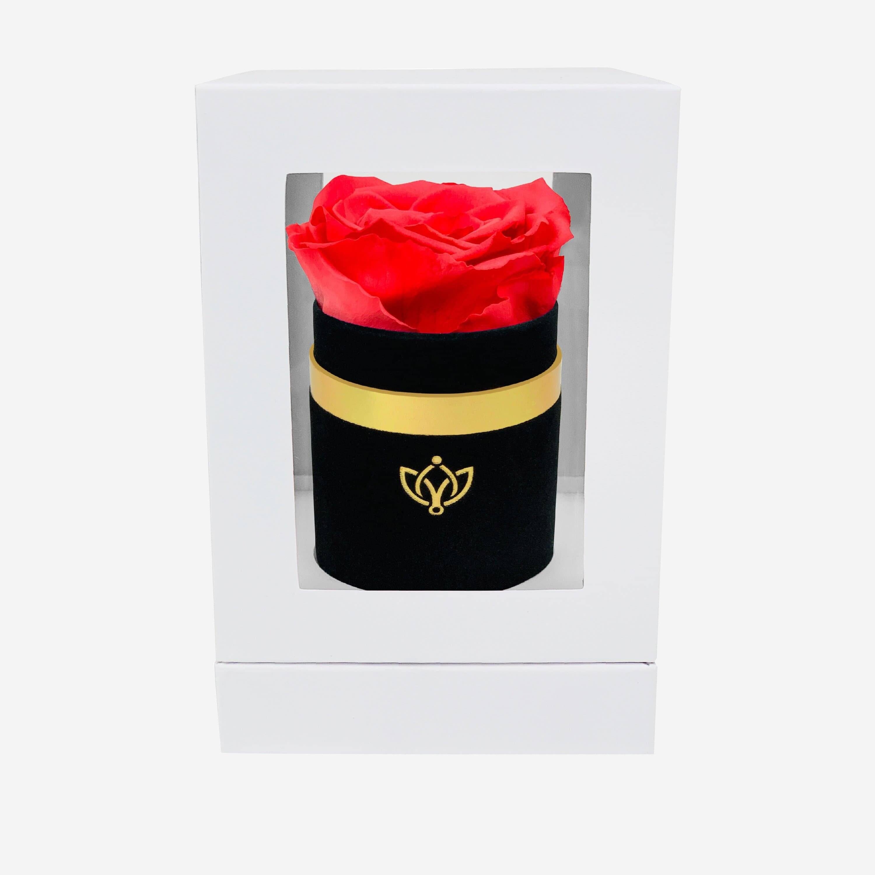 Single Black Suede Box | Coral Rose - The Million Roses