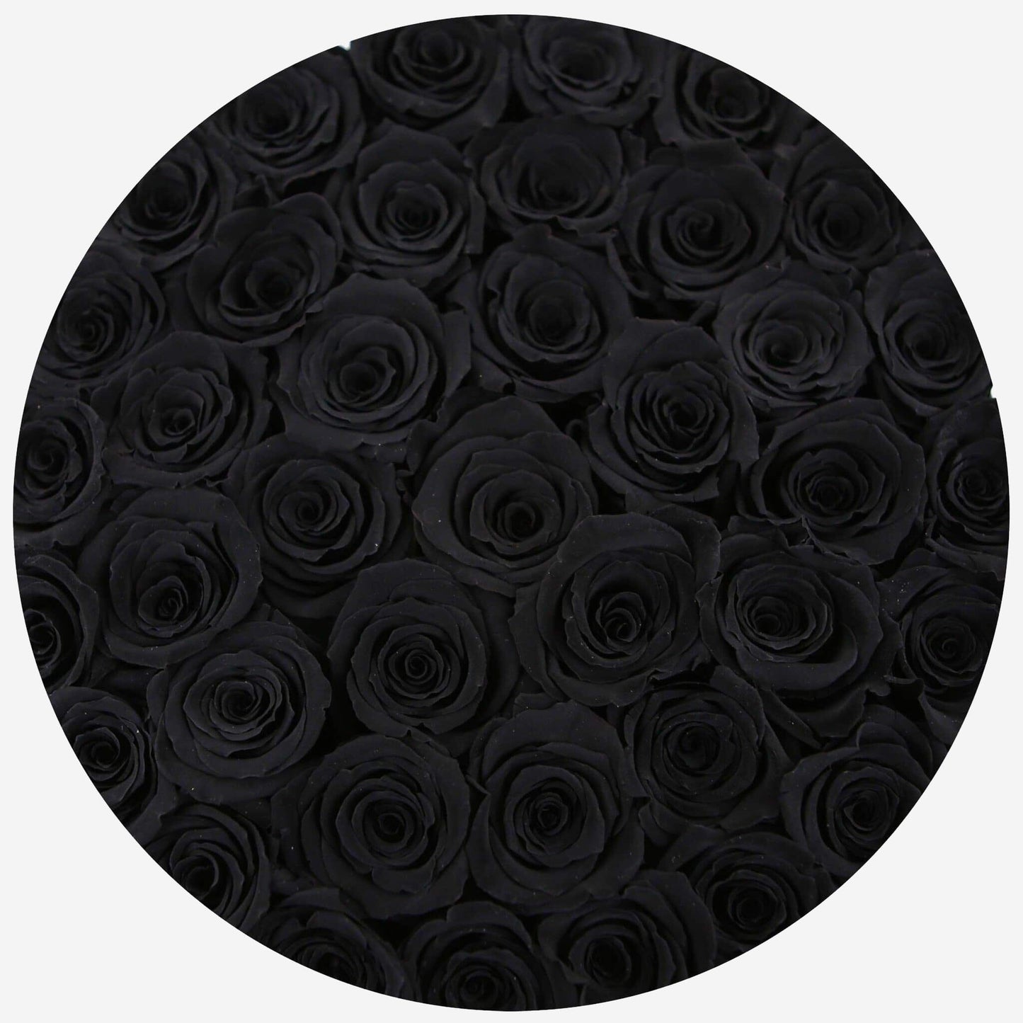 Supreme Gold Box | Black Roses - The Million Roses