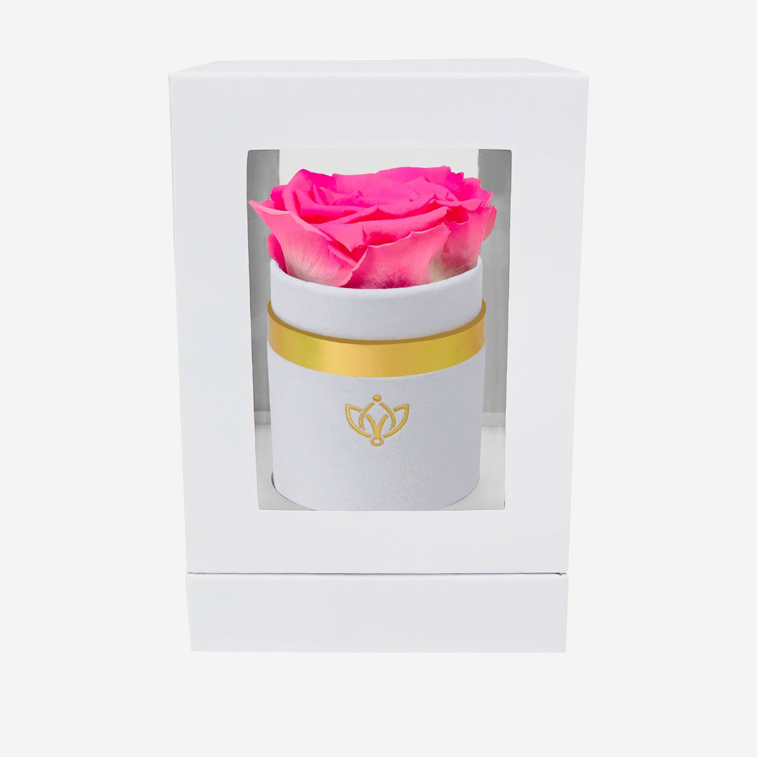 Single White Suede Box | Candy Pink Rose - The Million Roses