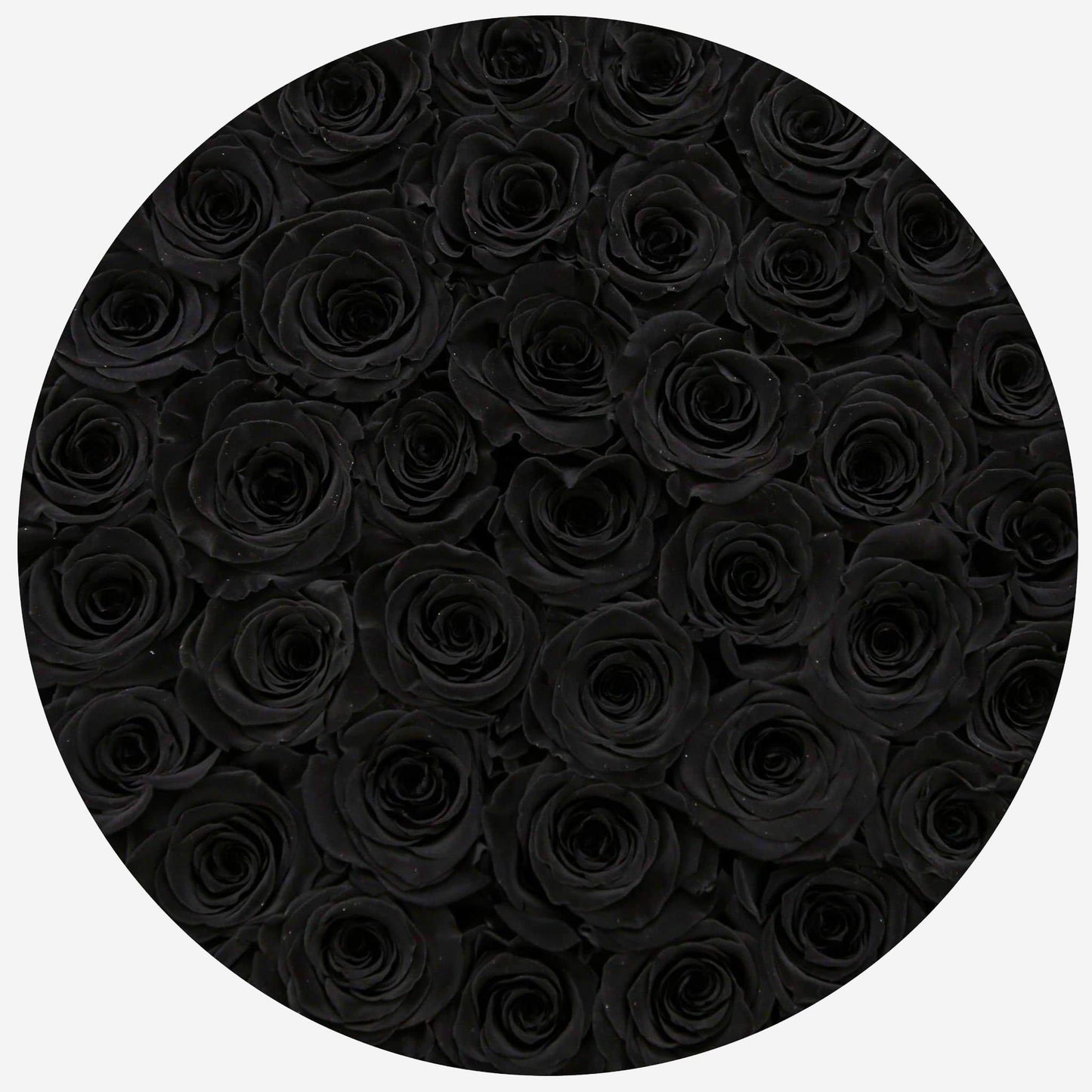 Supreme White Box | Black Roses - The Million Roses