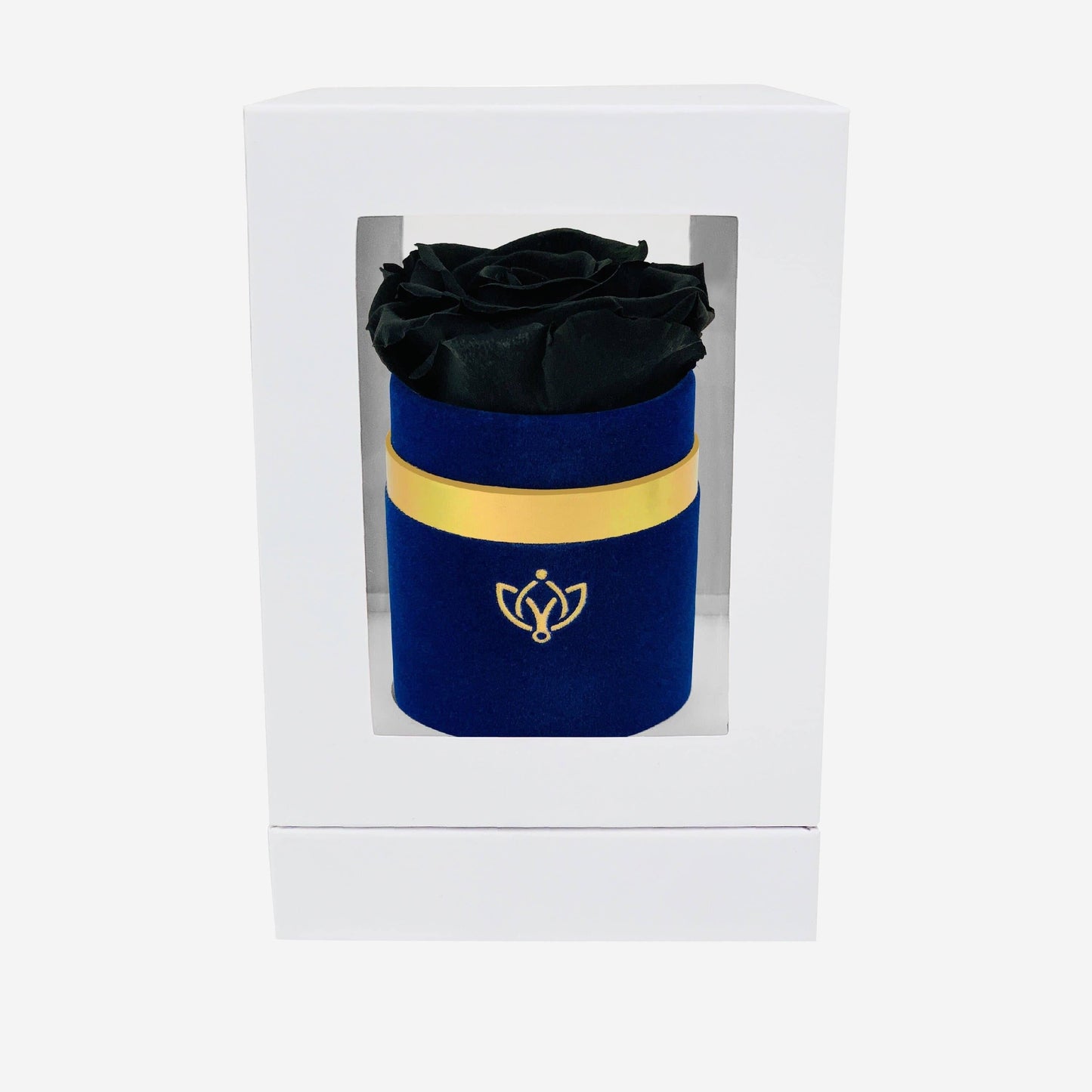 Single Royal Blue Suede Box | Black Rose - The Million Roses