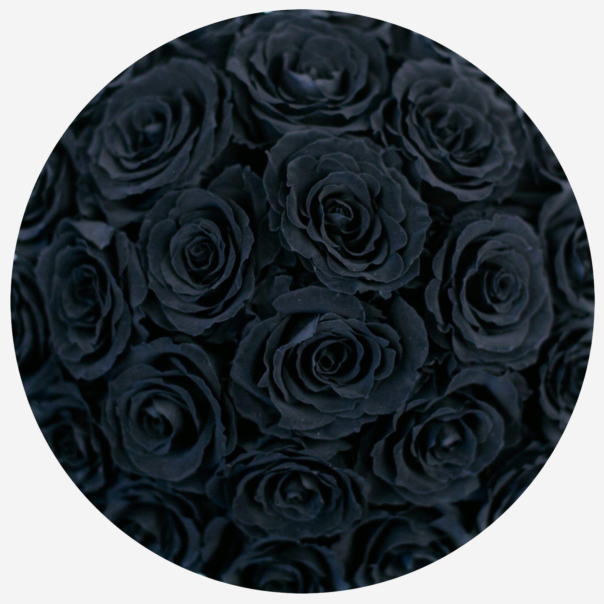 Classic Dome Hot Pink Suede Box | Black Roses - The Million Roses