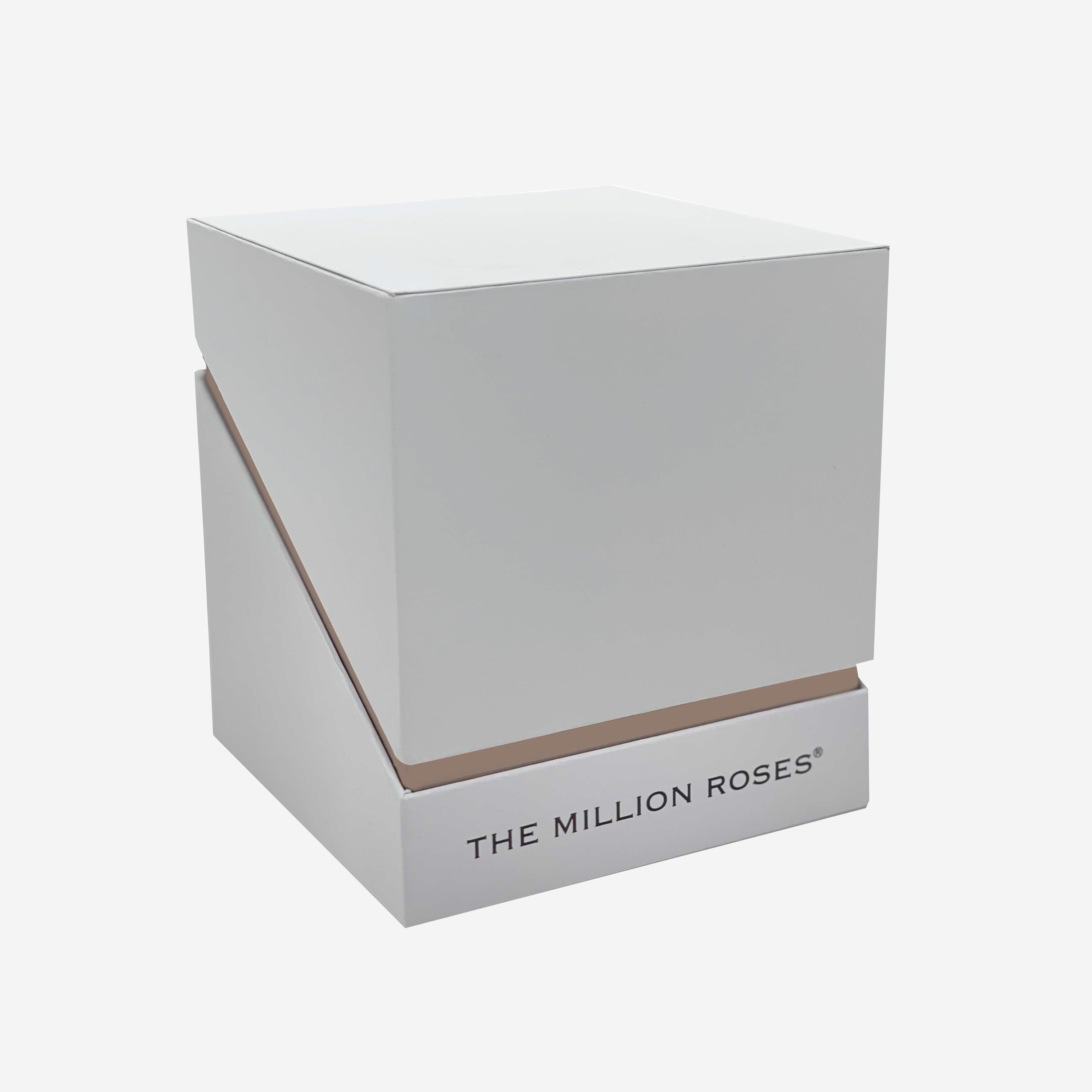 Square White Box | Burgundy Roses - The Million Roses