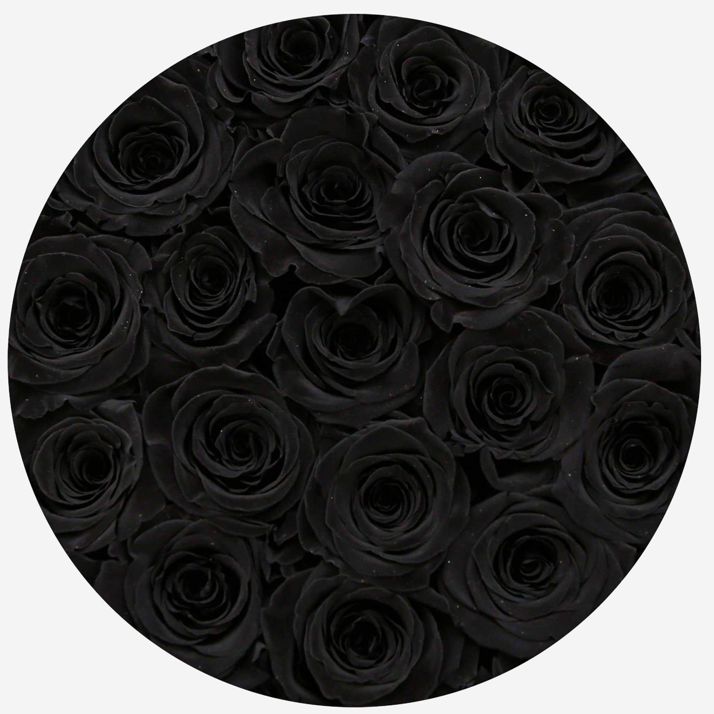 Classic Gold Box | Black Roses - The Million Roses