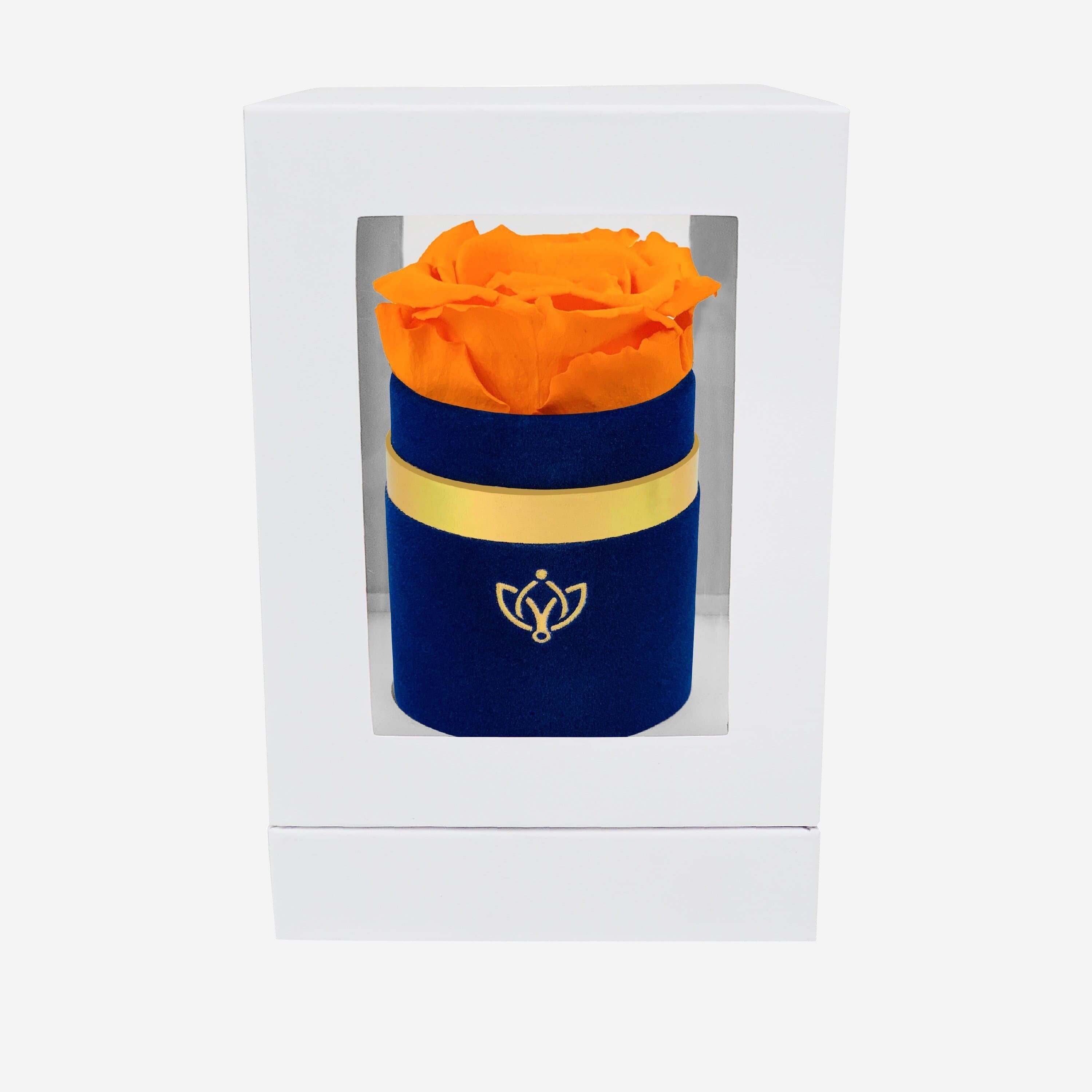 Single Royal Blue Suede Box | Orange Rose - The Million Roses