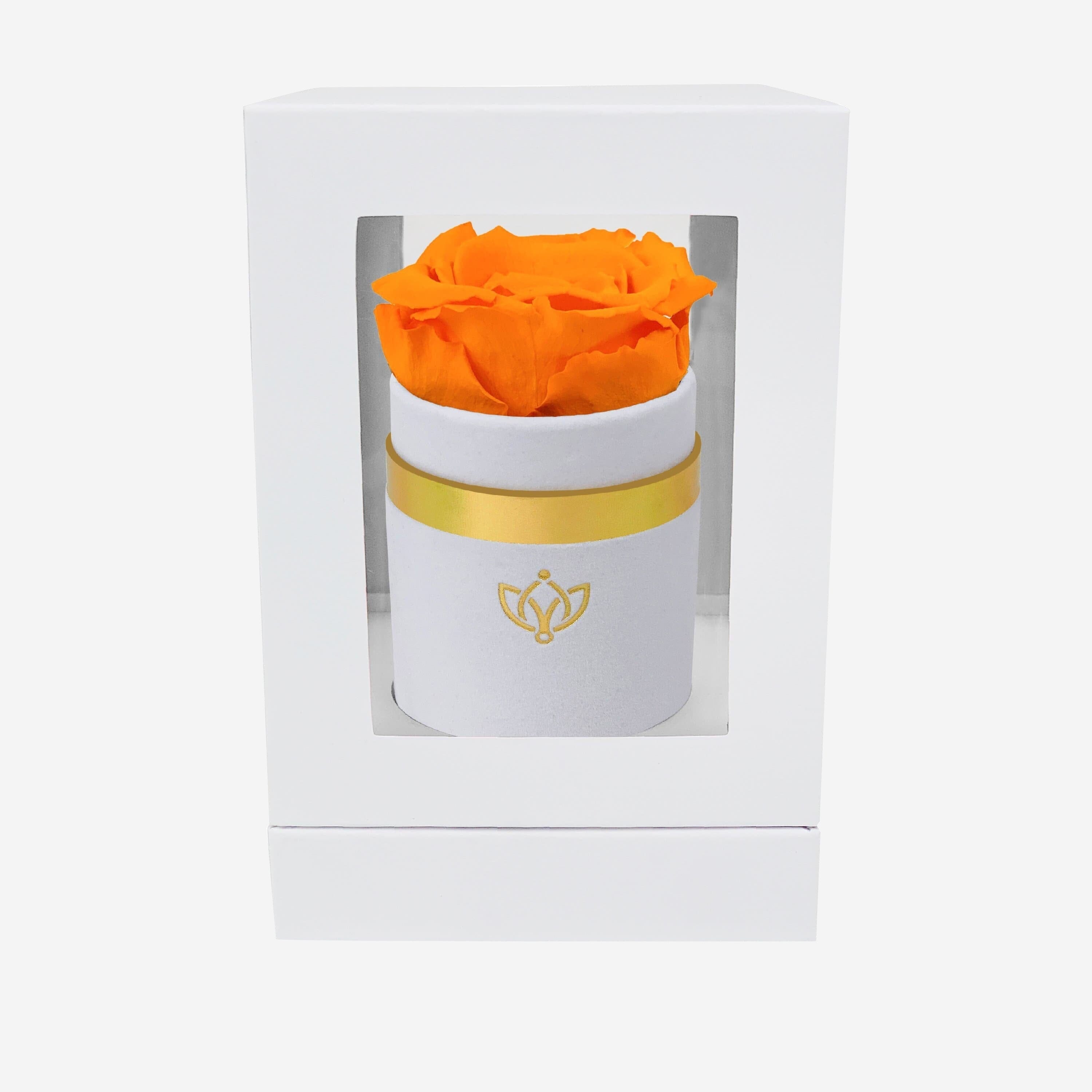 Single White Suede Box | Orange Rose - The Million Roses